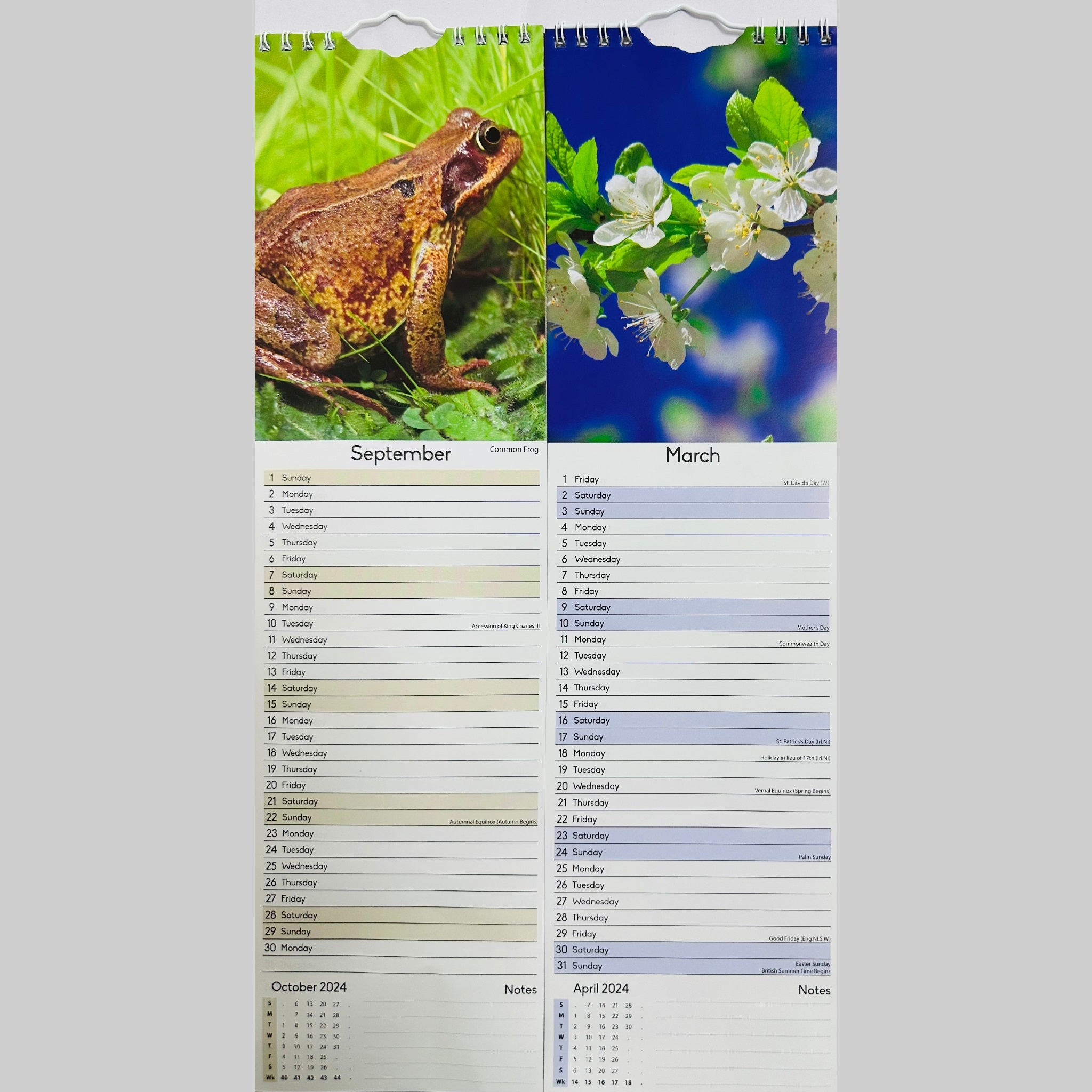 Beclen Harp Super Slim Month to View Spiral Bound Hanging Wall Calendar Home Office 2024 Dogs, Puppies, Kittens, Cats, Wildlife, Flowers, Scenes, Gardens
