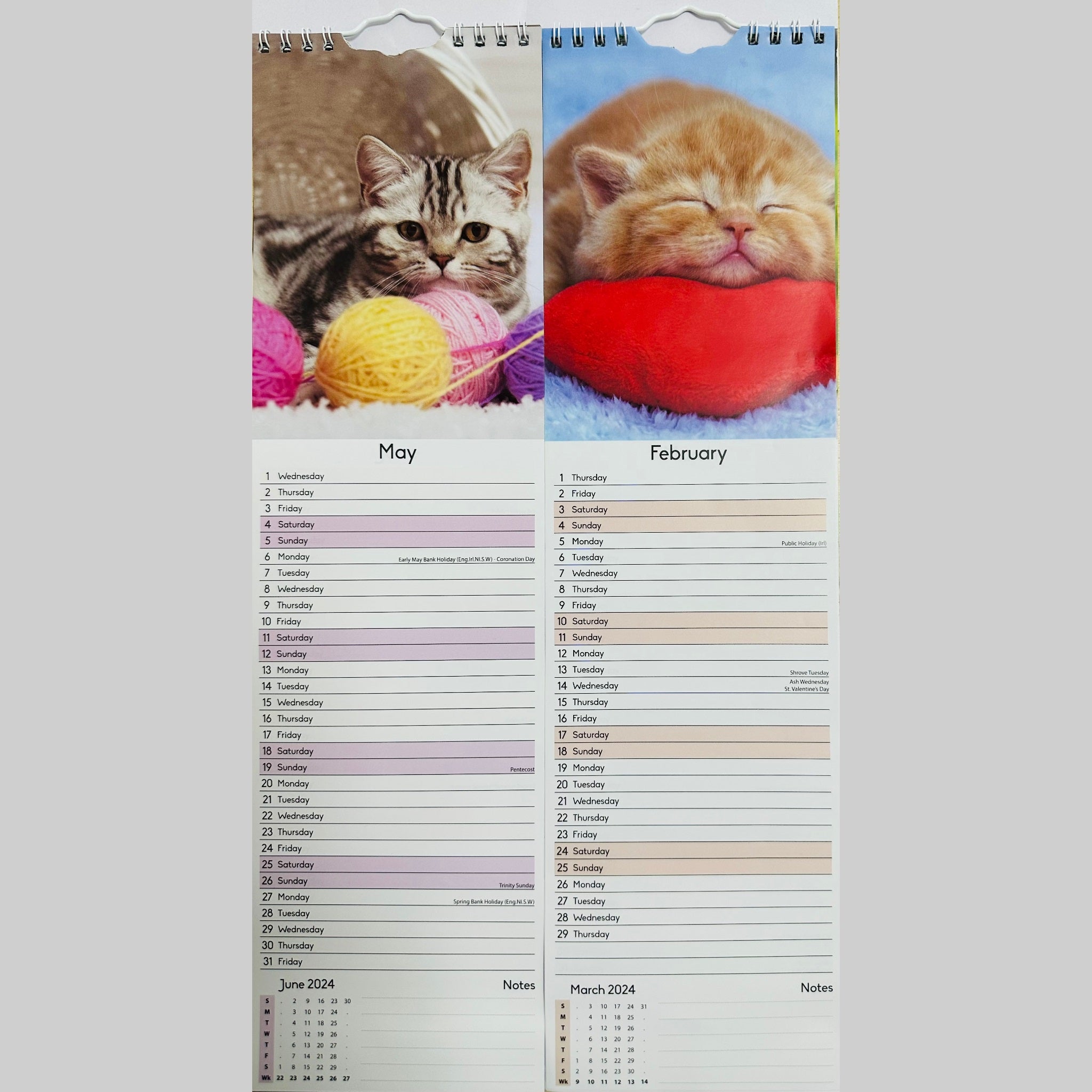 Beclen Harp Super Slim Month to View Spiral Bound Hanging Wall Calendar Home Office 2024 Dogs, Puppies, Kittens, Cats, Wildlife, Flowers, Scenes, Gardens