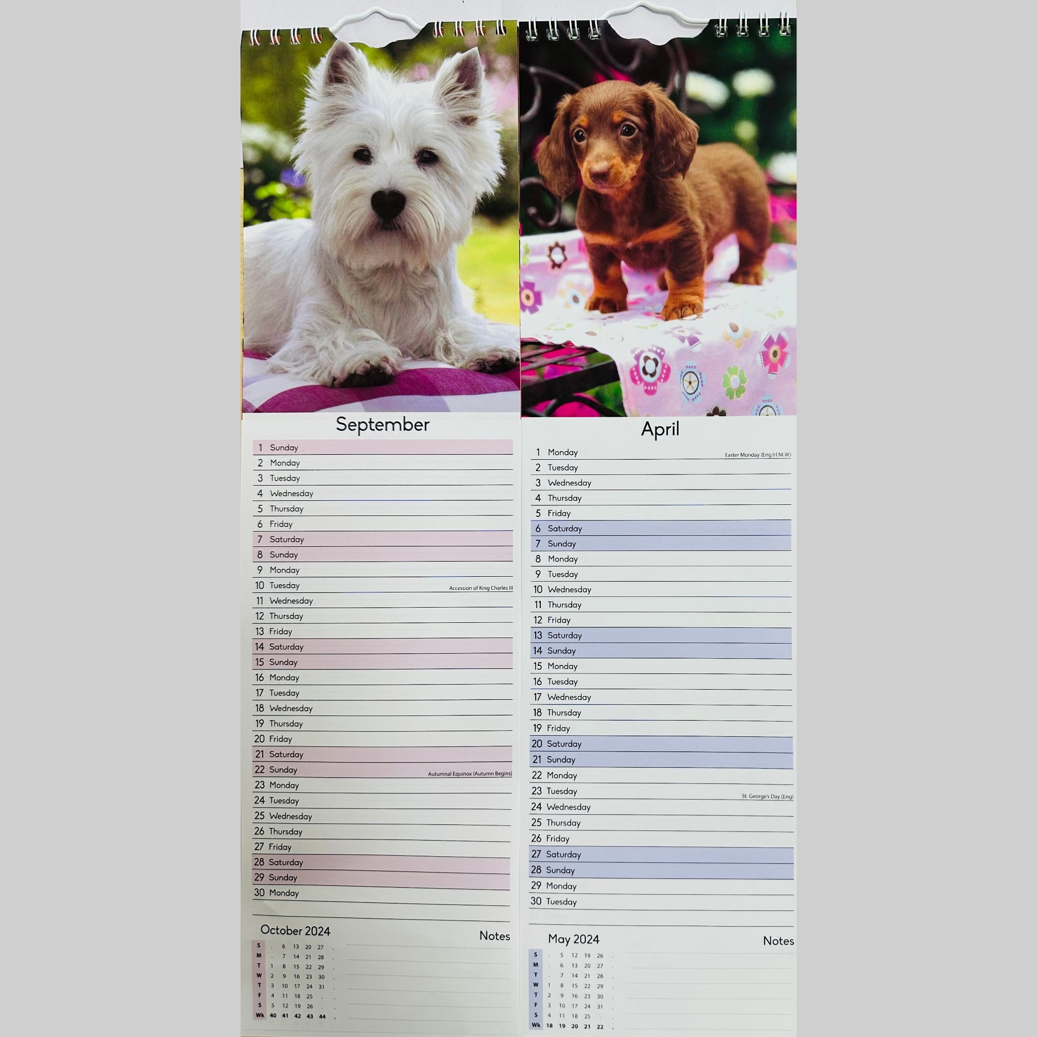 Beclen Harp Super Slim Month to View Spiral Bound Hanging Wall Calendar Home Office 2024 Dogs, Puppies, Kittens, Cats, Wildlife, Flowers, Scenes, Gardens