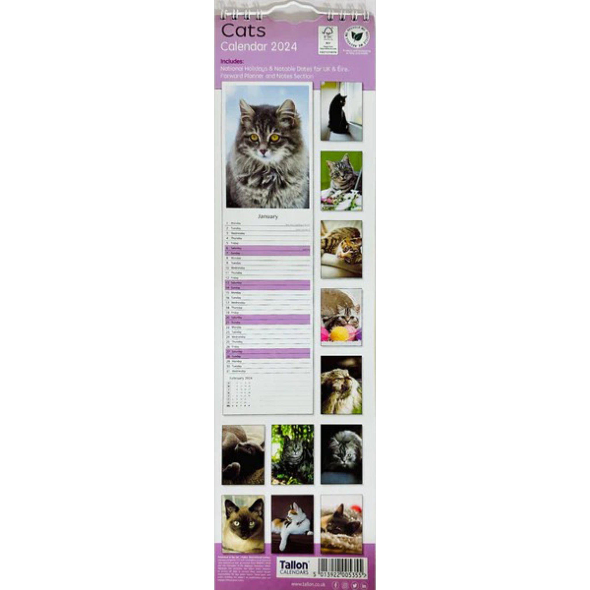 Beclen Harp 2024 Slim wall Calendar Month to View Home office School Calendar With Daily Notes & Pocket Diary/ Spiral Bound Hanging Wall Calendar Cats Dogs Puppies Kittens