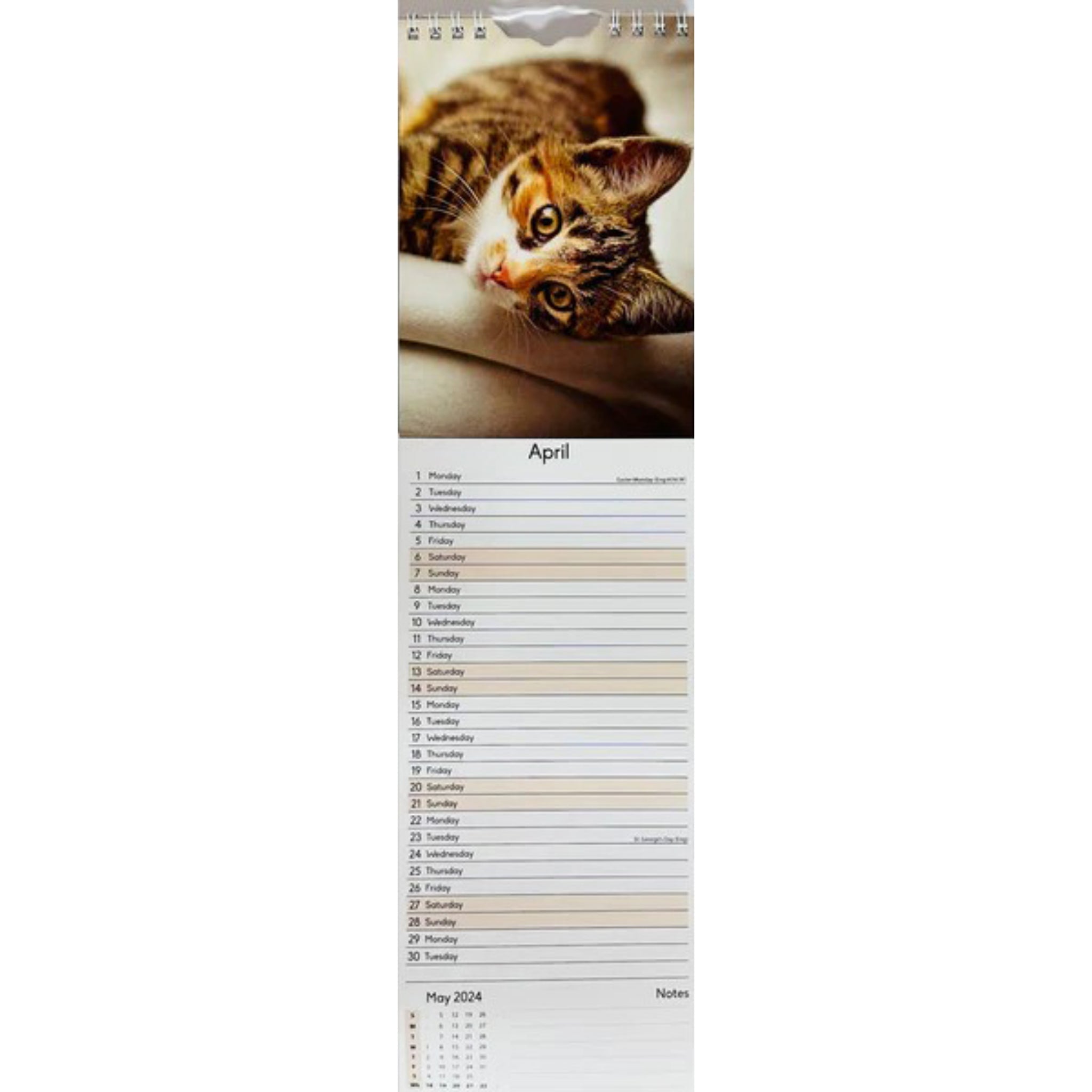 Beclen Harp 2024 Slim wall Calendar Month to View Home office School Calendar With Daily Notes & Pocket Diary/ Spiral Bound Hanging Wall Calendar Cats Dogs Puppies Kittens