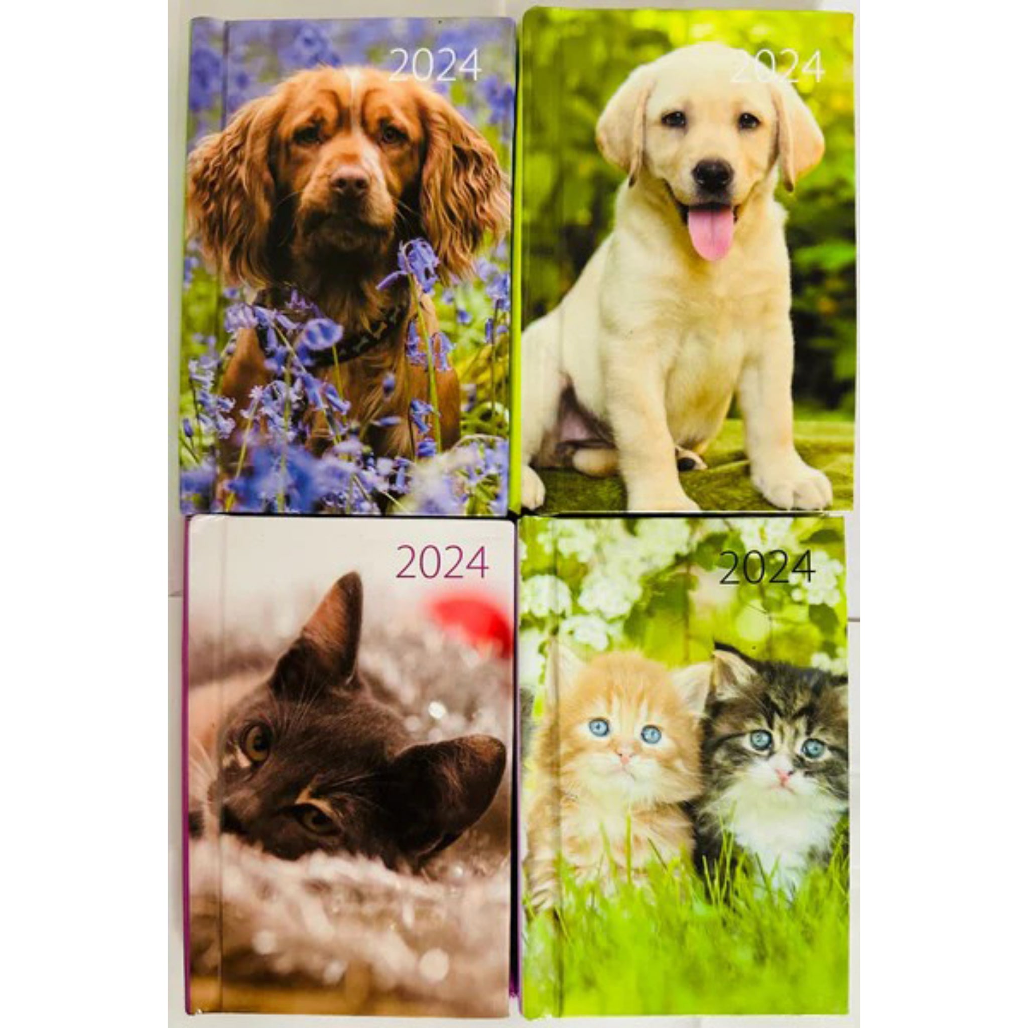 Beclen Harp 2024 Slim wall Calendar Month to View Home office School Calendar With Daily Notes & Pocket Diary/ Spiral Bound Hanging Wall Calendar Cats Dogs Puppies Kittens