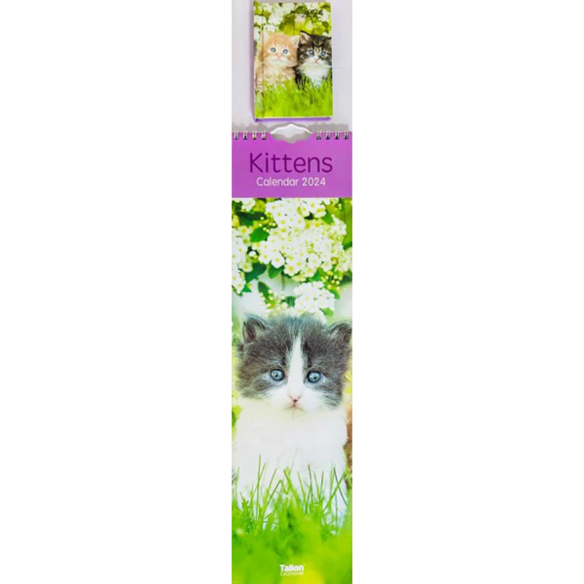 Beclen Harp 2024 Slim wall Calendar Month to View Home office School Calendar With Daily Notes & Pocket Diary/ Spiral Bound Hanging Wall Calendar Cats Dogs Puppies Kittens