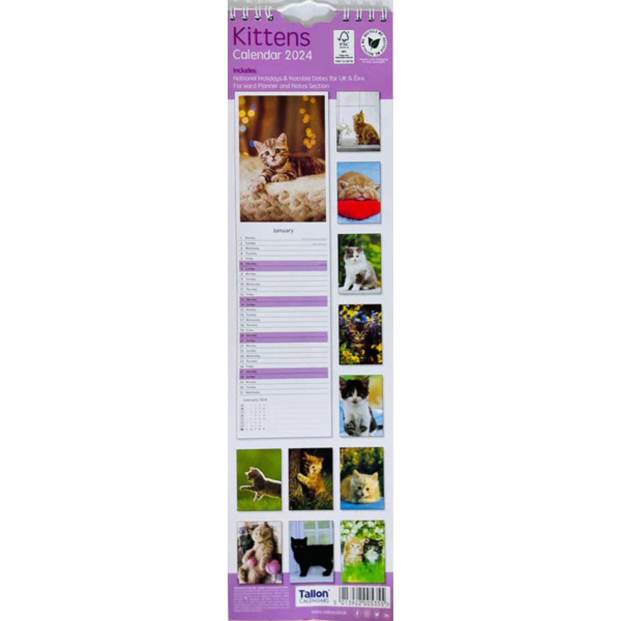 Beclen Harp 2024 Slim wall Calendar Month to View Home office School Calendar With Daily Notes & Pocket Diary/ Spiral Bound Hanging Wall Calendar Cats Dogs Puppies Kittens