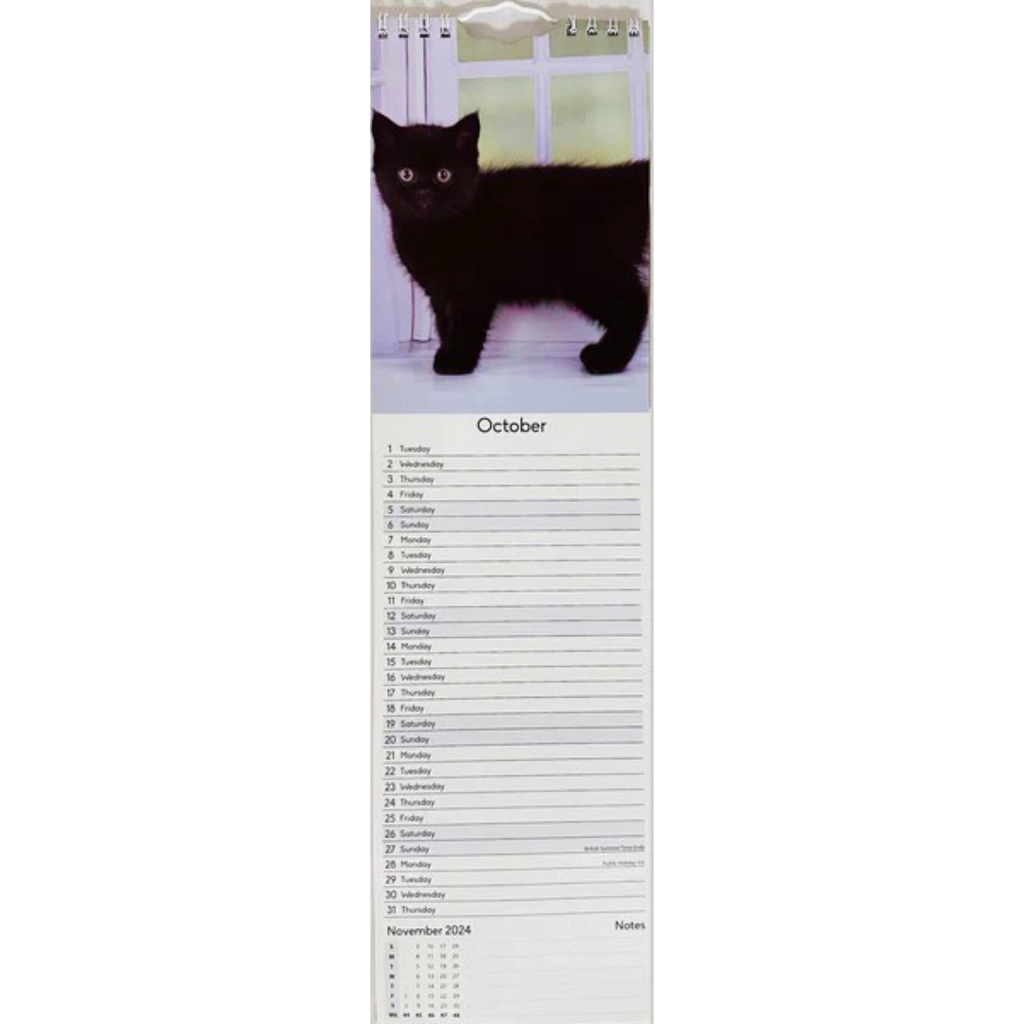 Beclen Harp 2024 Slim wall Calendar Month to View Home office School Calendar With Daily Notes & Pocket Diary/ Spiral Bound Hanging Wall Calendar Cats Dogs Puppies Kittens