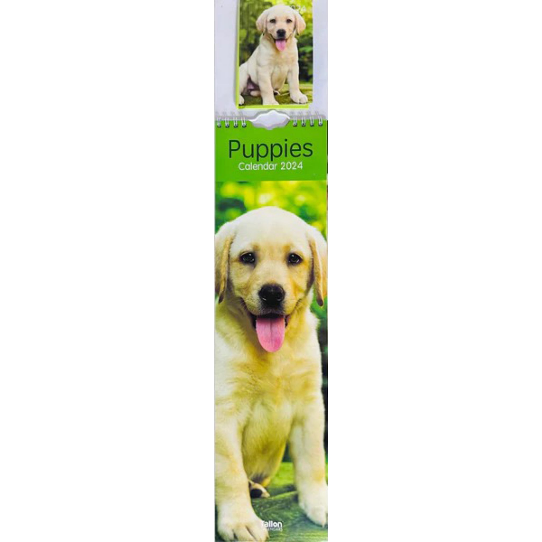 Beclen Harp 2024 Slim wall Calendar Month to View Home office School Calendar With Daily Notes & Pocket Diary/ Spiral Bound Hanging Wall Calendar Cats Dogs Puppies Kittens