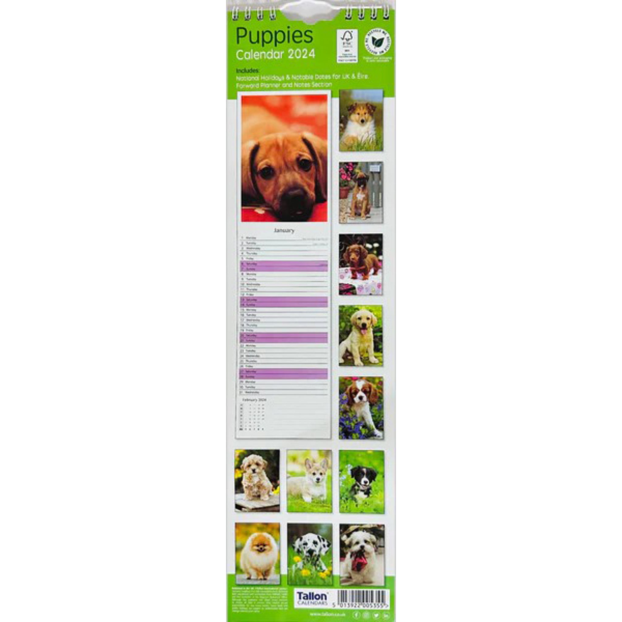 Beclen Harp 2024 Slim wall Calendar Month to View Home office School Calendar With Daily Notes & Pocket Diary/ Spiral Bound Hanging Wall Calendar Cats Dogs Puppies Kittens