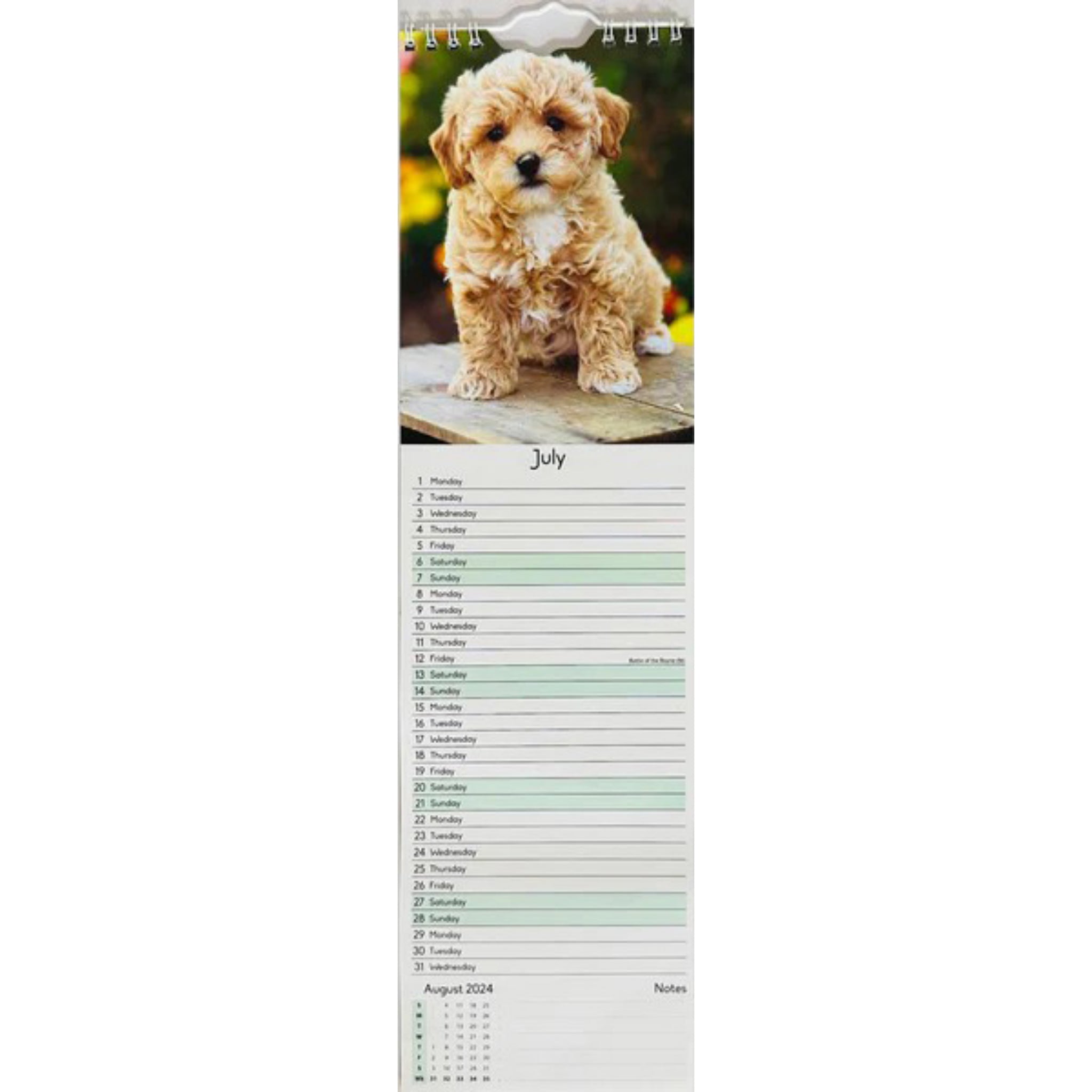 Beclen Harp 2024 Slim wall Calendar Month to View Home office School Calendar With Daily Notes & Pocket Diary/ Spiral Bound Hanging Wall Calendar Cats Dogs Puppies Kittens
