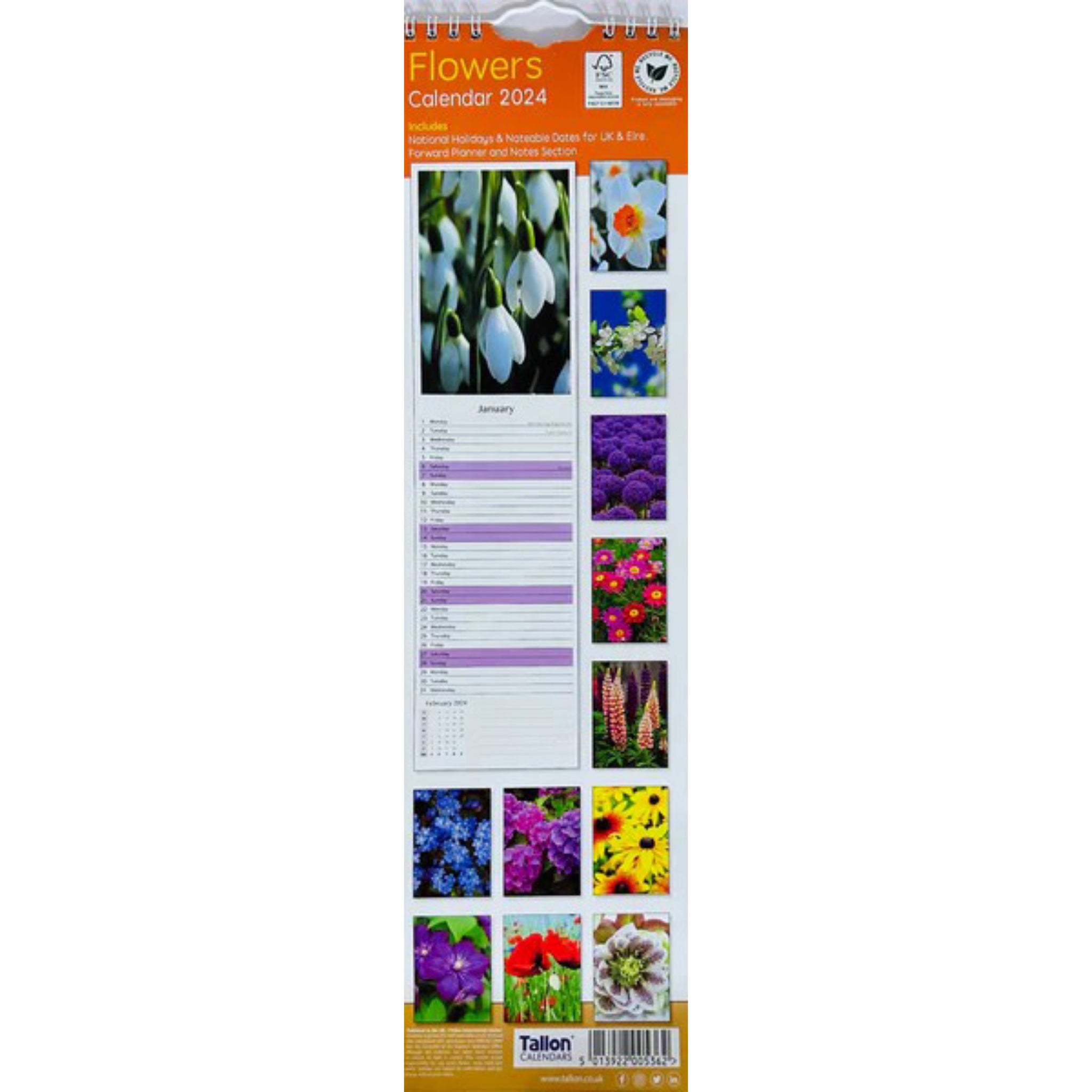 Beclen Harp 2024 Slim wall Calendar Month to View Home office School Calendar With Daily Notes & Pocket Diary/ Spiral Bound Hanging Wall Calendar Flower Garden Wildlife Scenes