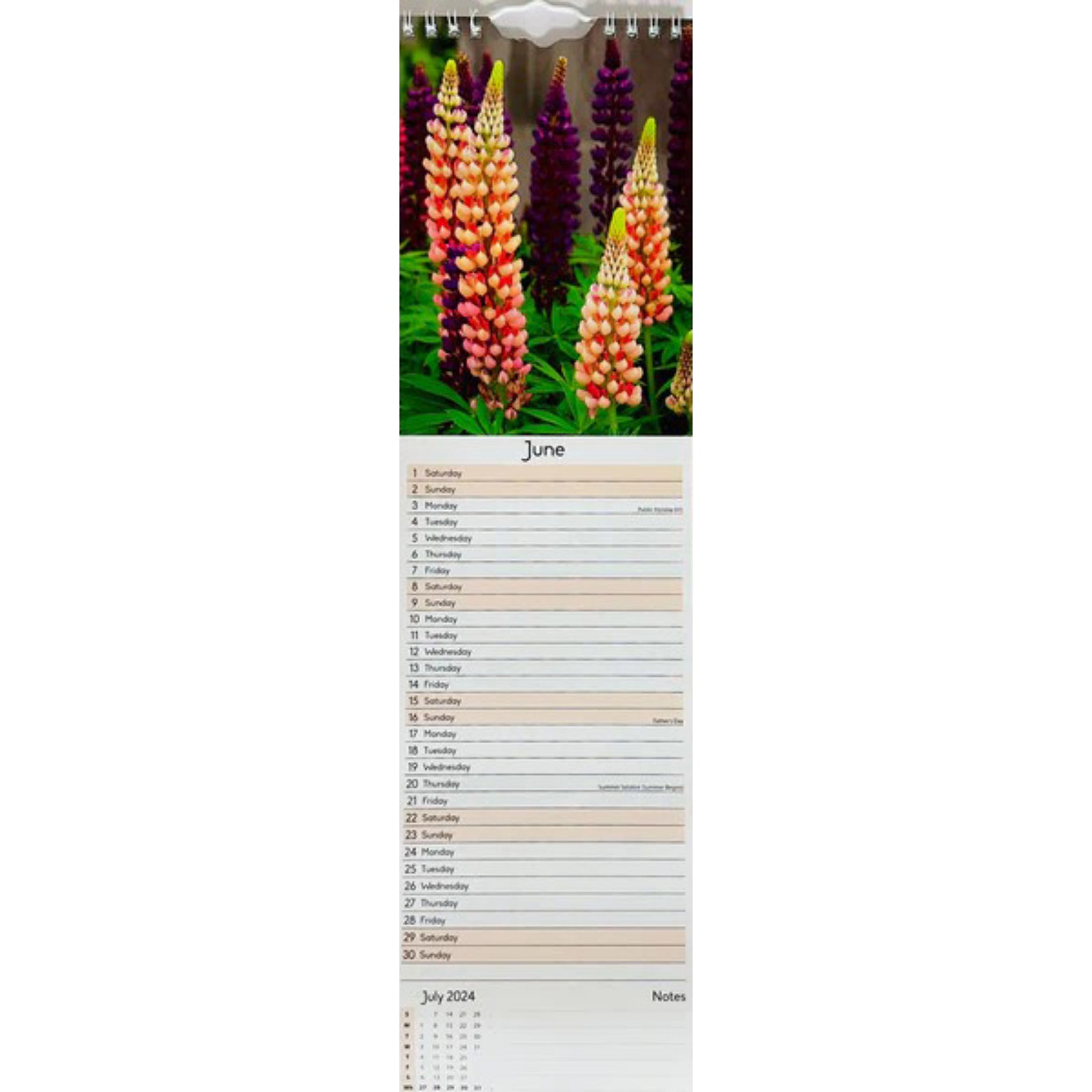 Beclen Harp 2024 Slim wall Calendar Month to View Home office School Calendar With Daily Notes & Pocket Diary/ Spiral Bound Hanging Wall Calendar Flower Garden Wildlife Scenes