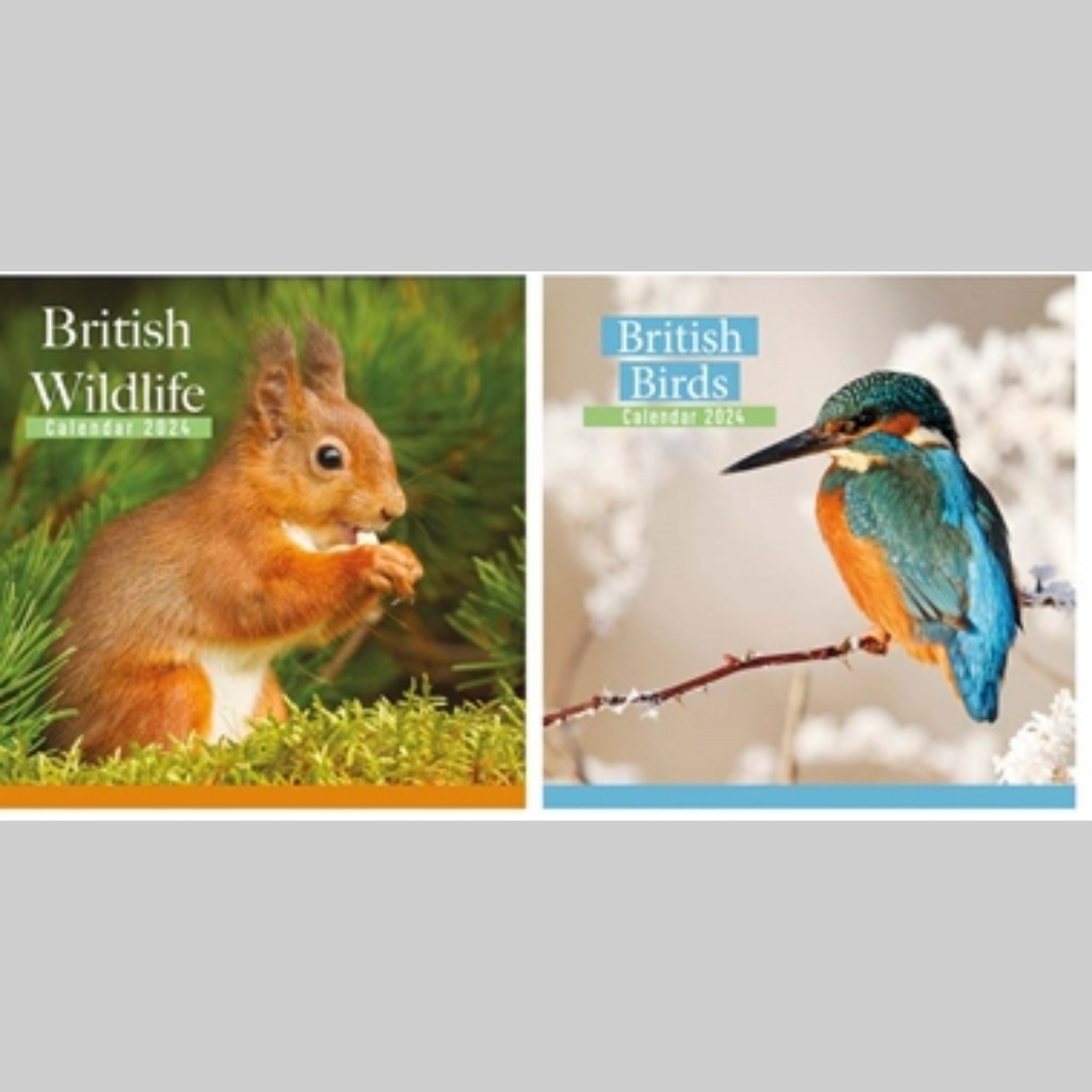 Beclen Harp 2024 Large Month to View Flip Over Desk Top Calendar/ Square Wall Hanging Home Office Work Top Planner British Birds Wildlife