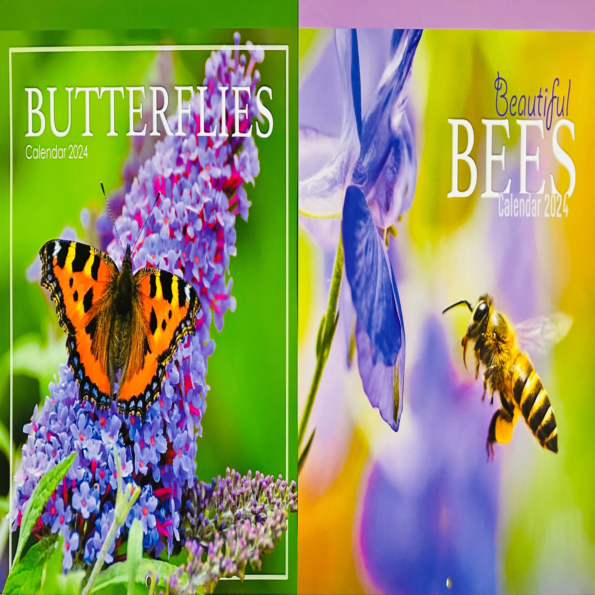 Beclen Harp 2024 One Month To View Photographic Wall Hanging Home Office Calendar Planner With Postal Envelope Butterflies Bees