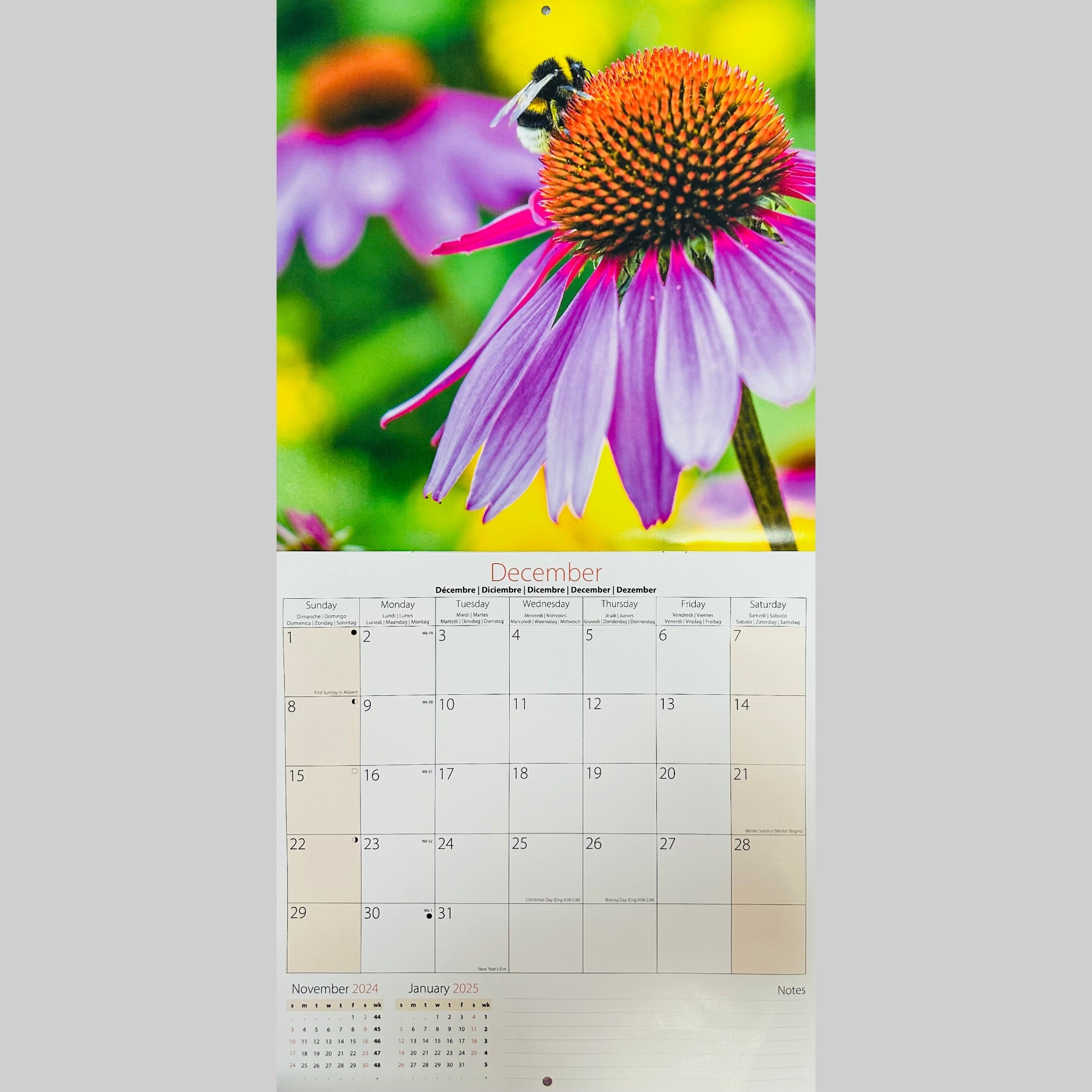 Beclen Harp 2024 One Month To View Photographic Wall Hanging Home Office Calendar Planner With Postal Envelope Butterflies Bees