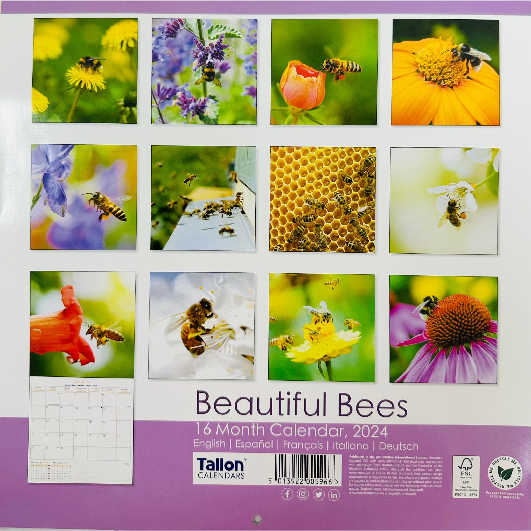 Beclen Harp 2024 One Month To View Photographic Wall Hanging Home Office Calendar Planner With Postal Envelope Butterflies Bees