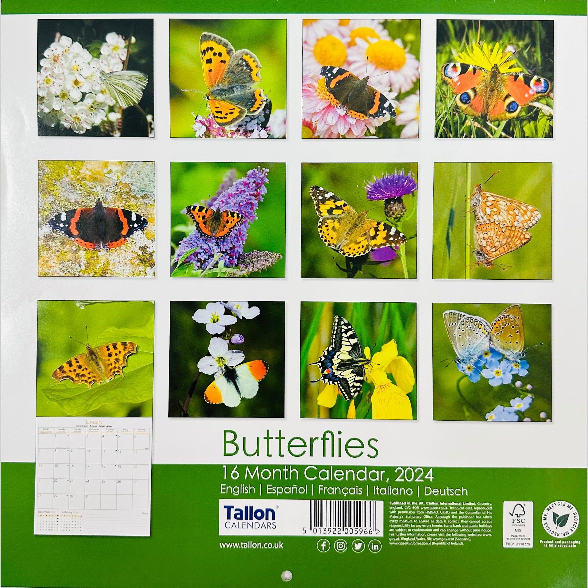 Beclen Harp 2024 One Month To View Photographic Wall Hanging Home Office Calendar Planner With Postal Envelope Butterflies Bees