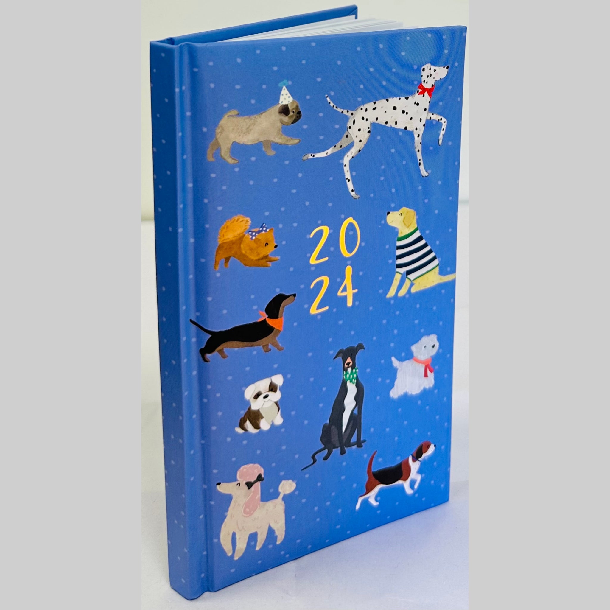 Beclen Harp 2024 A5 Week To View/WTV Personal Executive Colorful Cute Print Foil Effec Diary