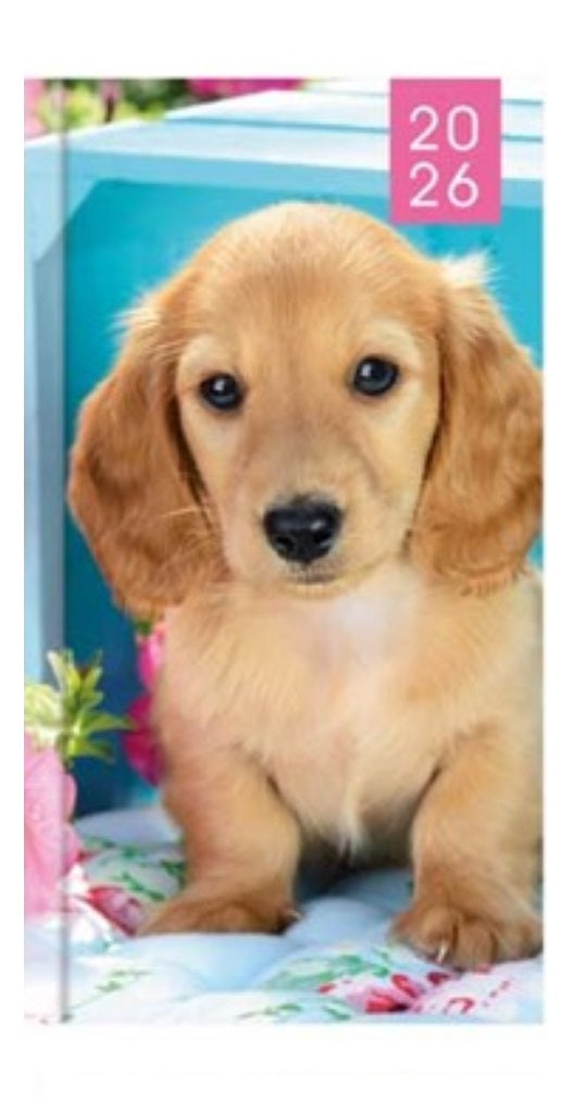 Beclen Harp 2026 SLIM WTV Kitten & Puppy theme Office Home Diary Note Date Full Year - Xmas gift