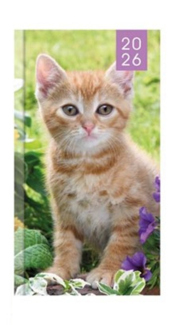 Beclen Harp 2026 SLIM WTV Kitten & Puppy theme Office Home Diary Note Date Full Year - Xmas gift