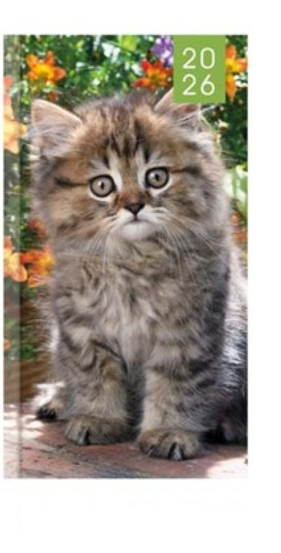 Beclen Harp 2026 SLIM WTV Kitten & Puppy theme Office Home Diary Note Date Full Year - Xmas gift