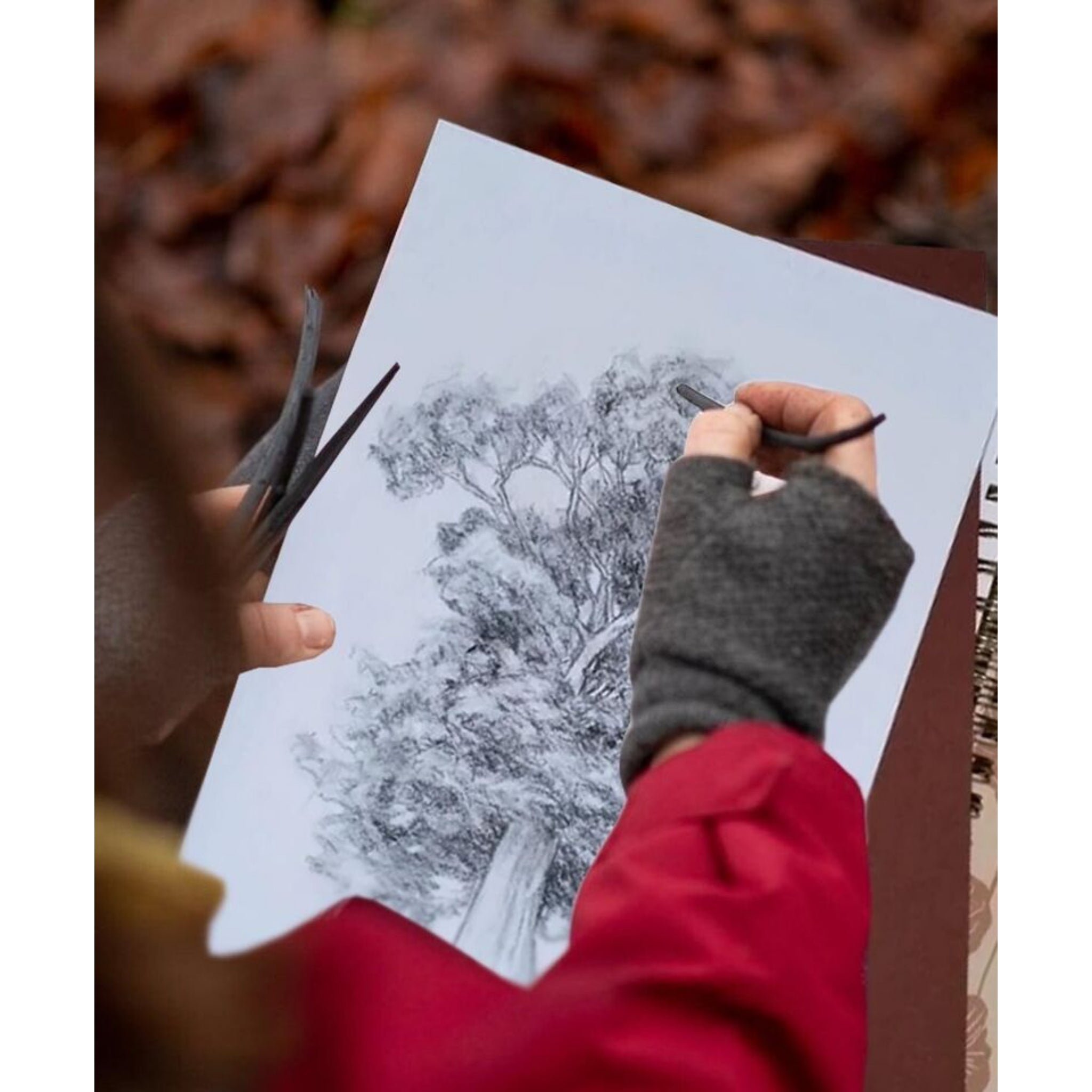 Beclen Harp 12 Assorted Willow Charcoal Sketch Drawing Natural Charcoal Sticks Drawing