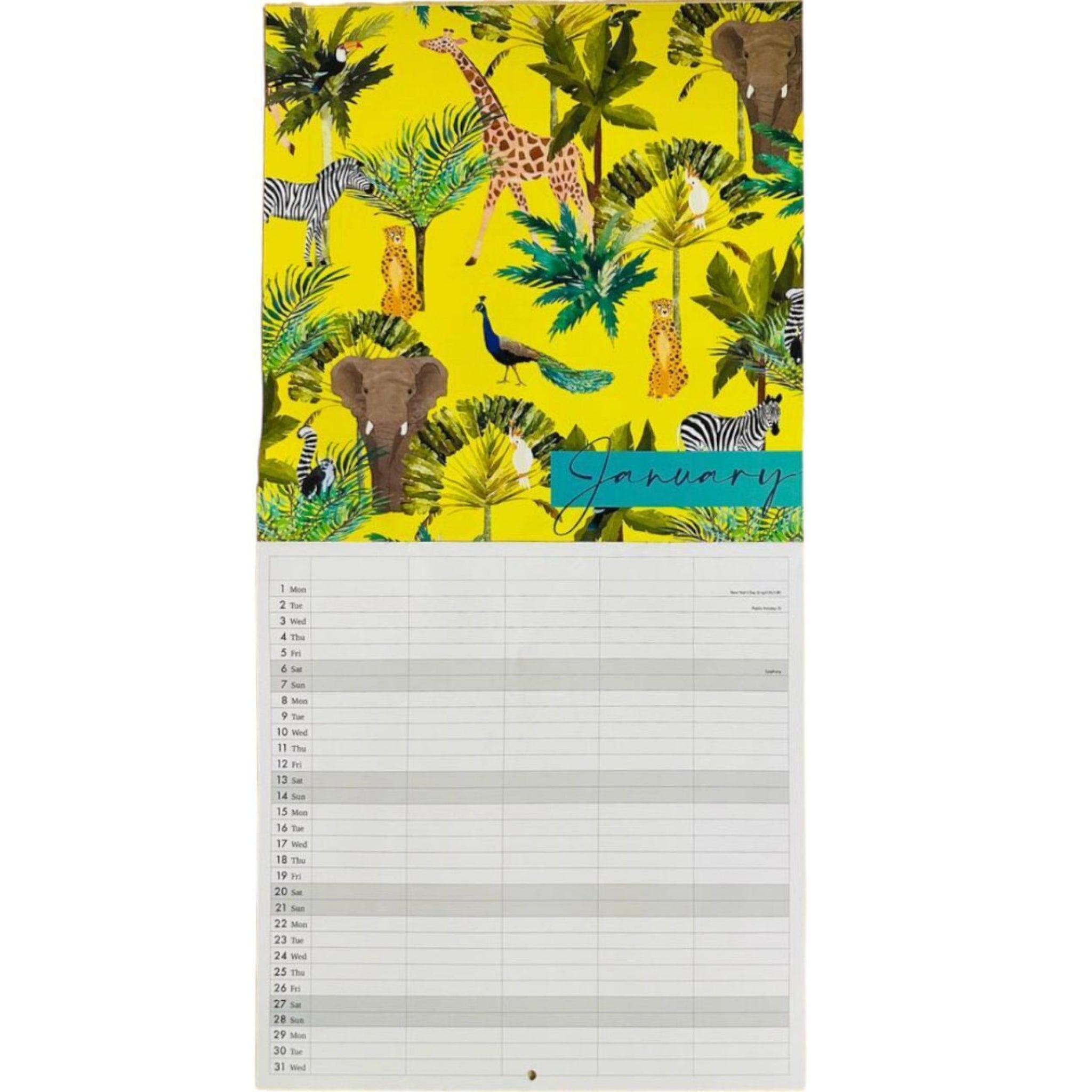Beclen Harp 2024 Family Planner Monthly Calendar Organiser Gold Foil Wall Mount 5 Column