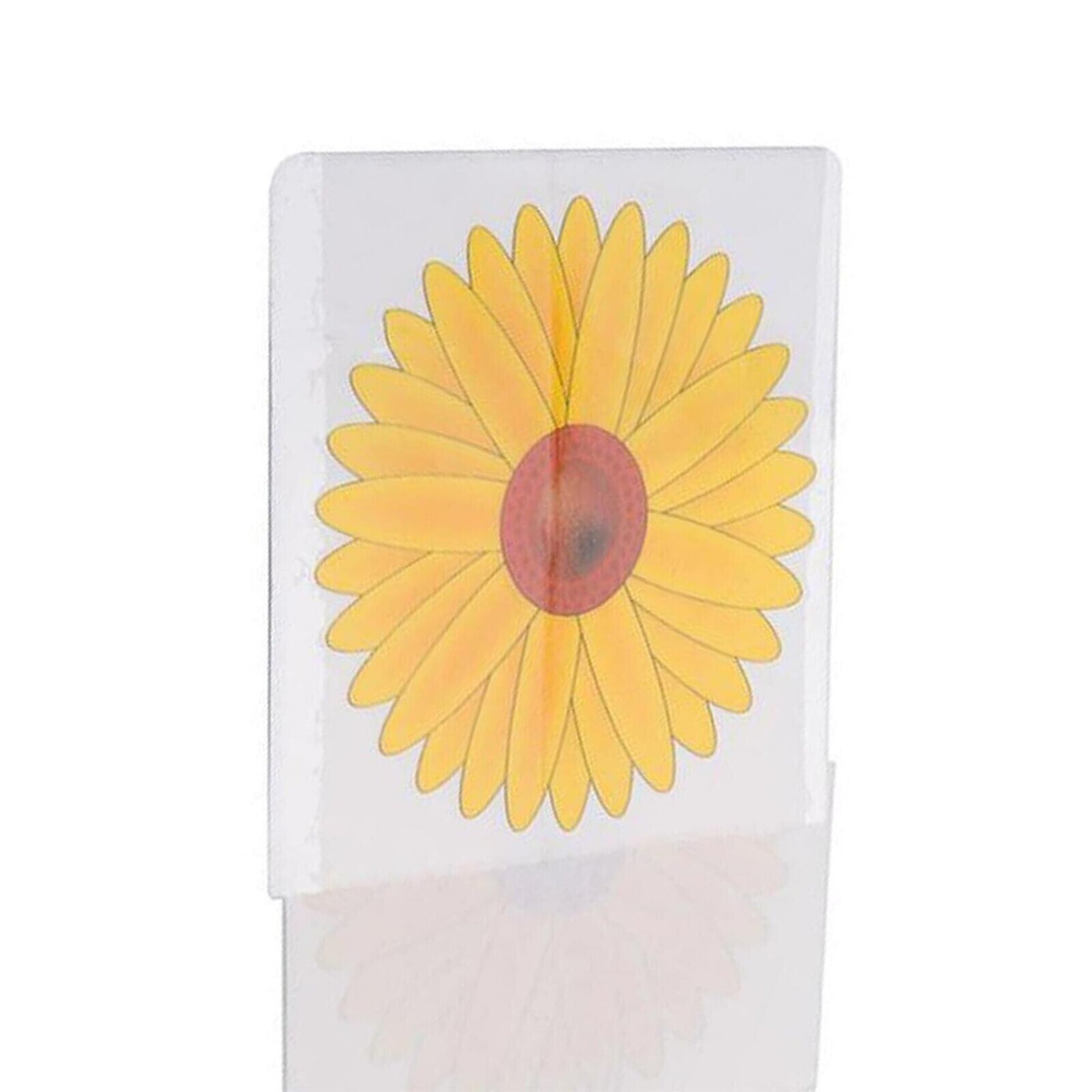 Beclen Harp 9x Fly Catcher Window Flower Traps Stickers Bug Insect Killer Sticky Window Trap