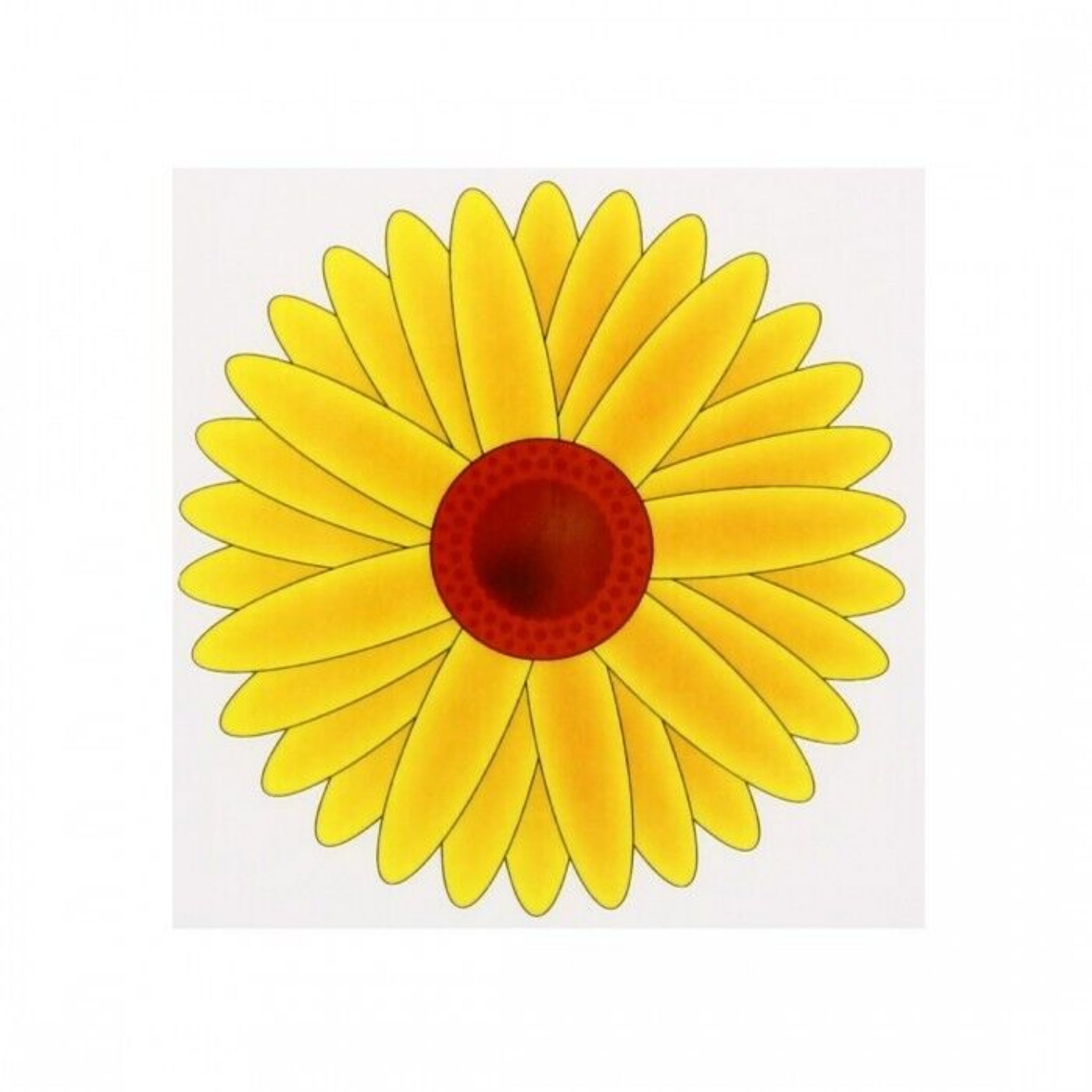 Beclen Harp 3 Fly Catchers Window Flower Traps Stickers Bug Insect Killer Sticky Window Trap