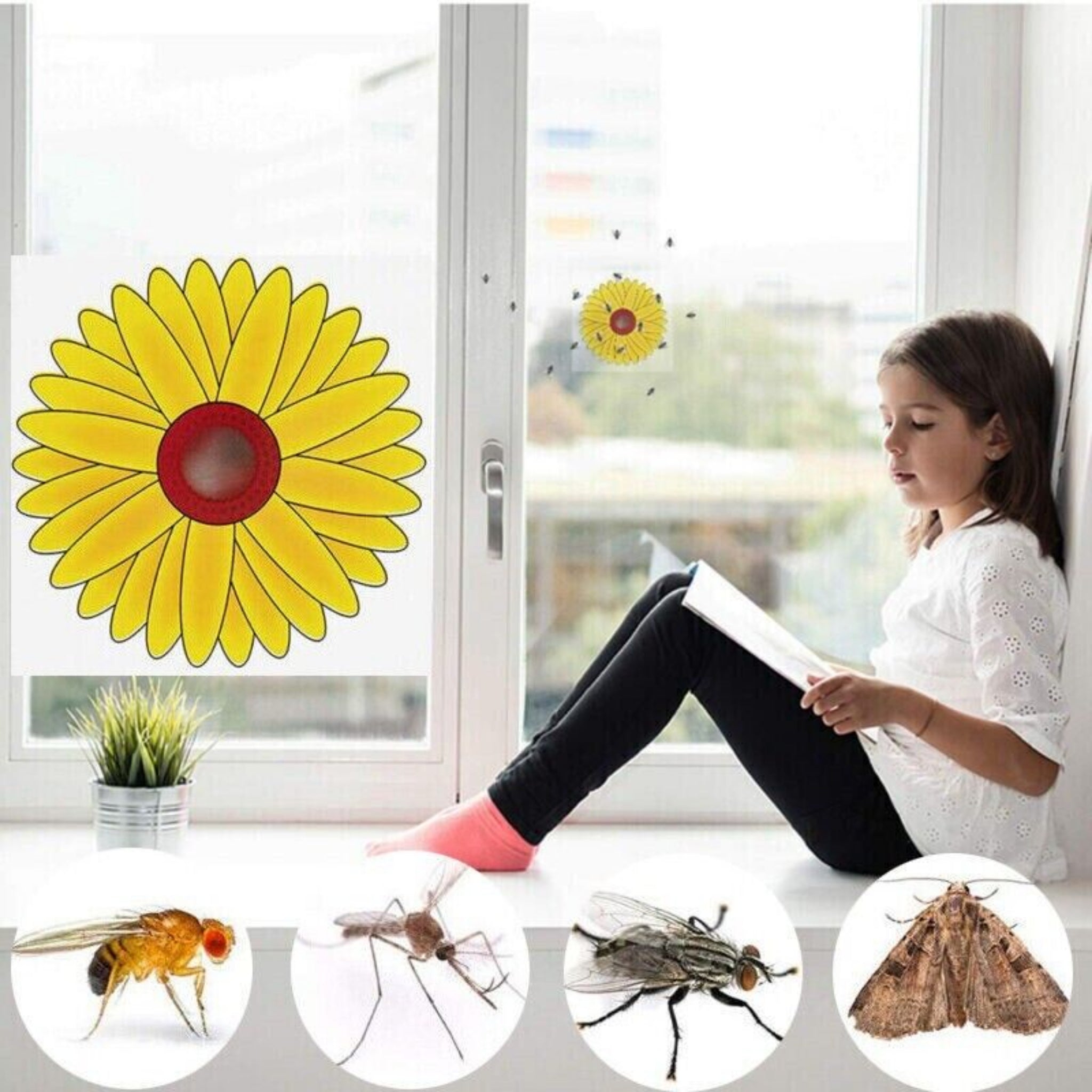 Beclen Harp 3 Fly Catchers Window Flower Traps Stickers Bug Insect Killer Sticky Window Trap
