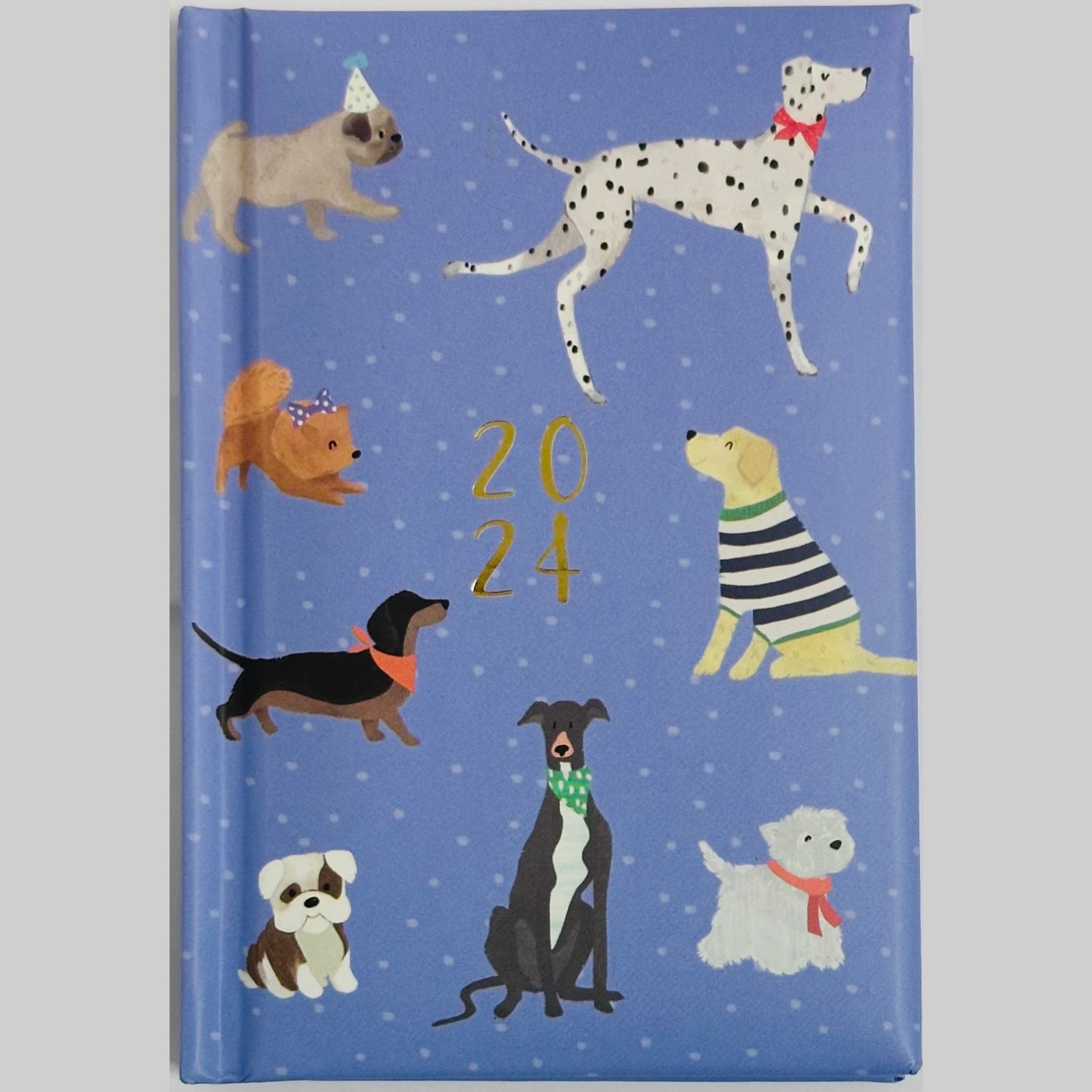 Beclen Harp Pocket Size 2024 Week To View/WTV Exclusive Fashion Cover Pocket Diary