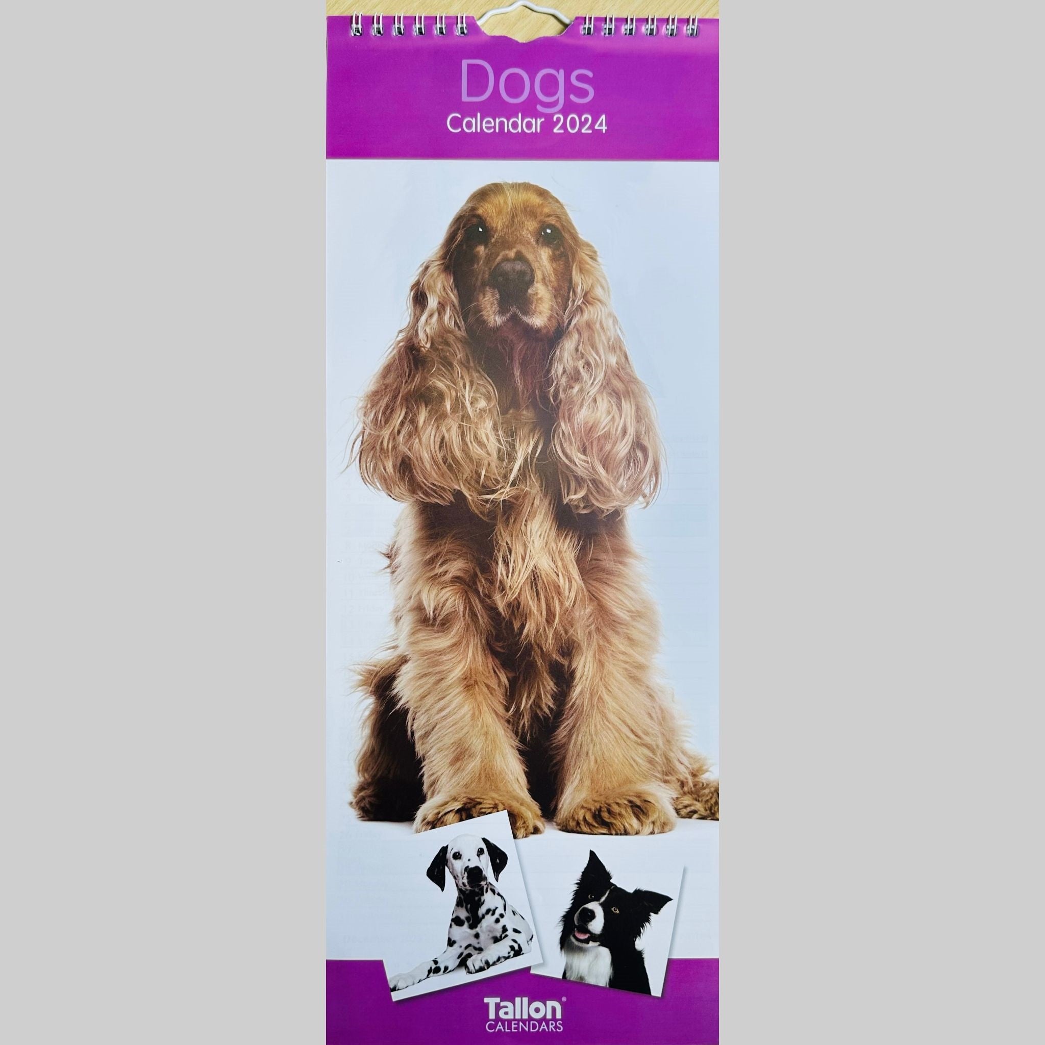 Beclen Harp Super Slim Month to View Spiral Bound Hanging Wall Calendar Home Office 2024 Dogs,Cats,Kittens,Puppies