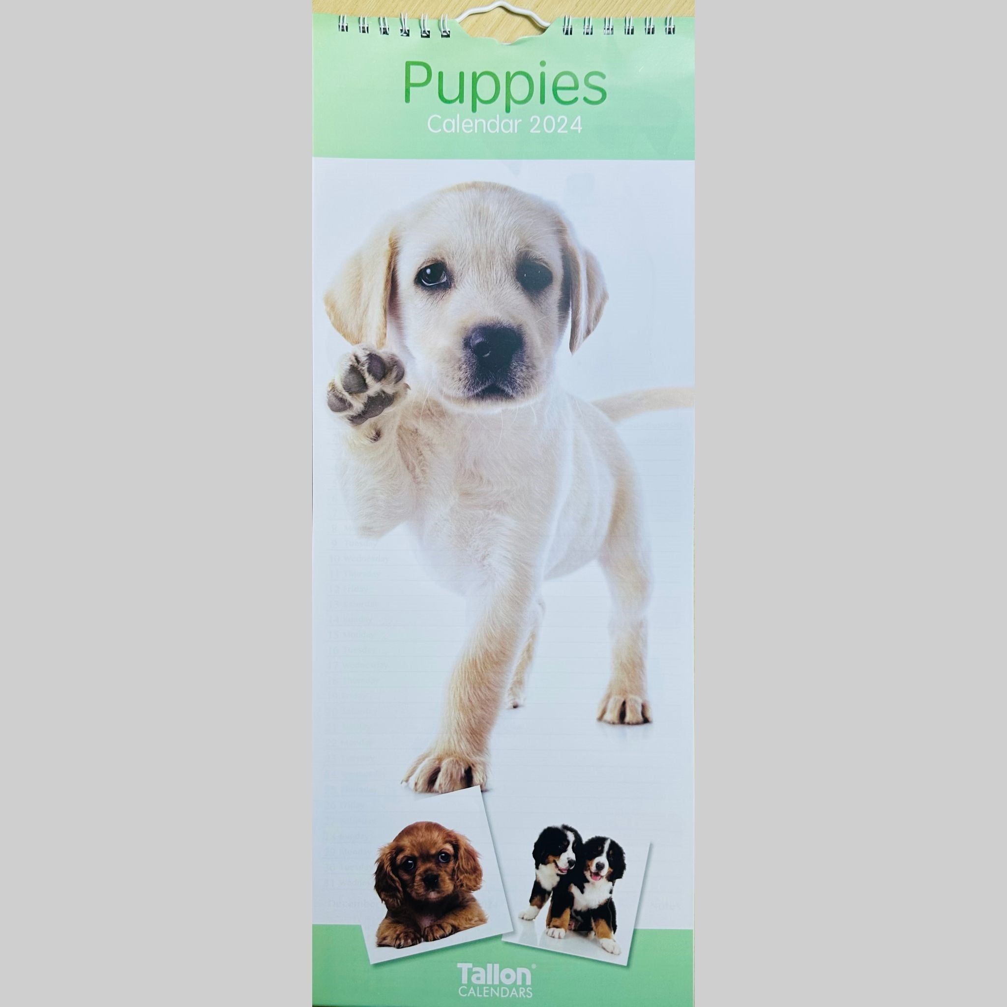 Beclen Harp Super Slim Month to View Spiral Bound Hanging Wall Calendar Home Office 2024 Dogs,Cats,Kittens,Puppies