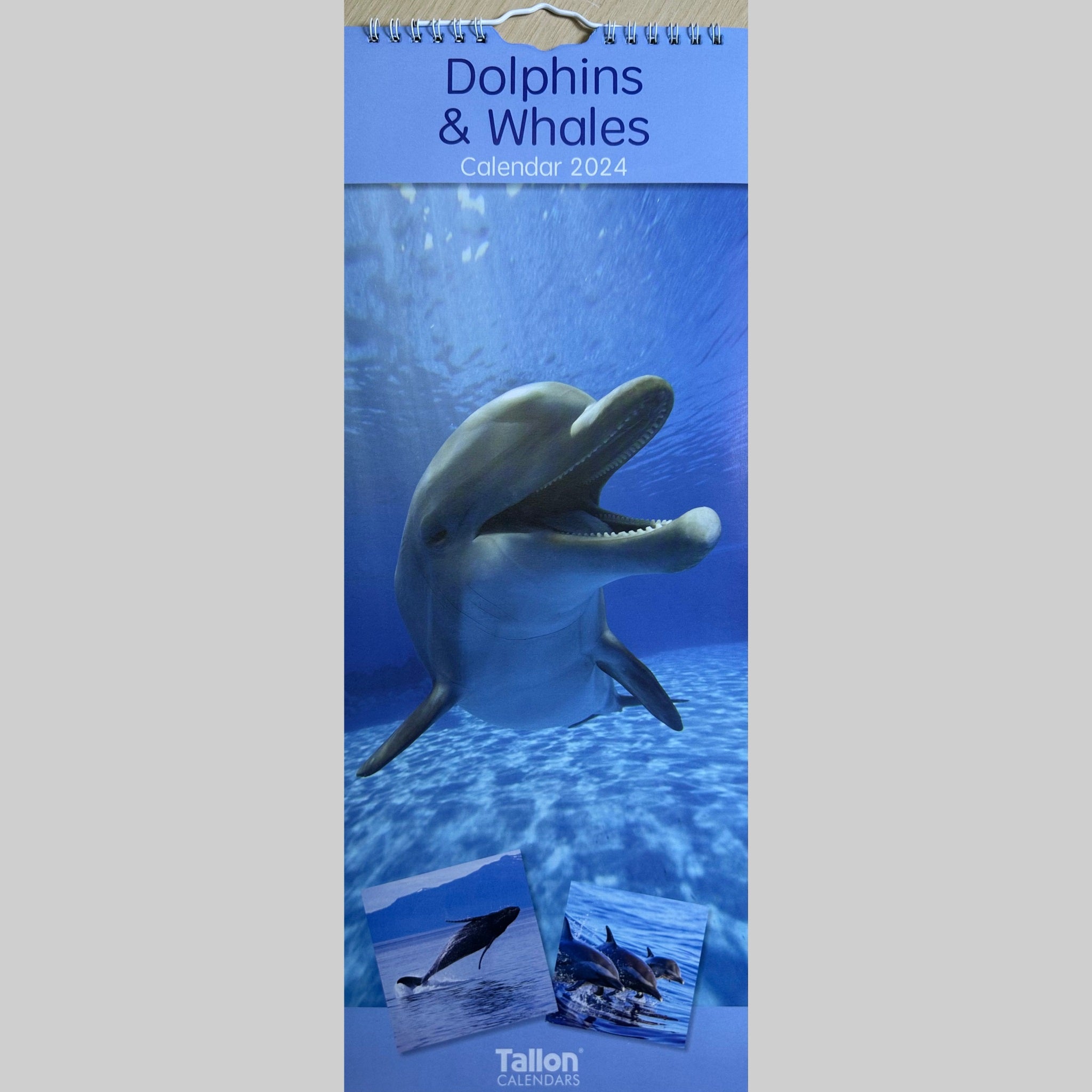 Beclen Harp Super Slim Month to View Spiral Bound Hanging Wall Calendar Home Office 2024 Dolphins and Whales/ Polar Bears and Penguins/ Endangered Animals/ Wildlife