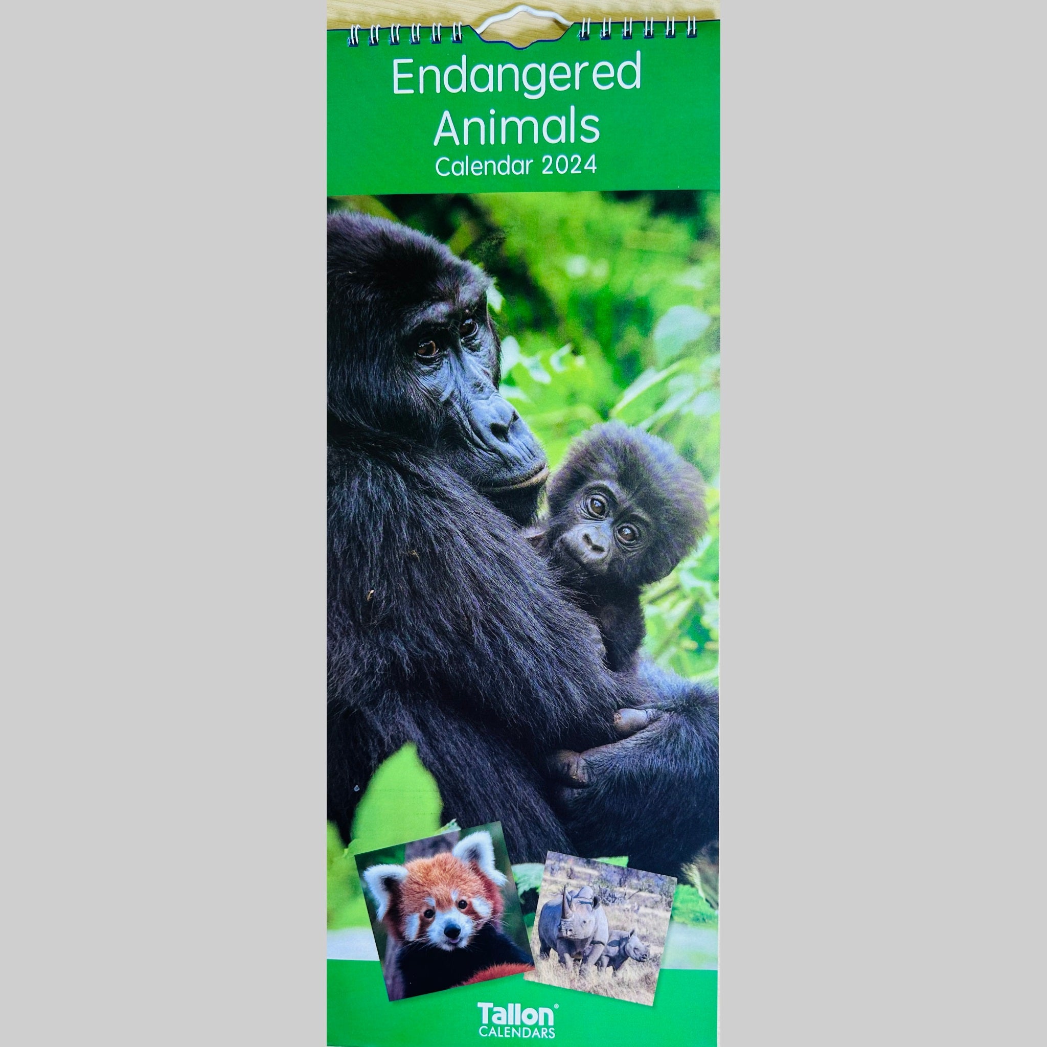 Beclen Harp Super Slim Month to View Spiral Bound Hanging Wall Calendar Home Office 2024 Dolphins and Whales/ Polar Bears and Penguins/ Endangered Animals/ Wildlife