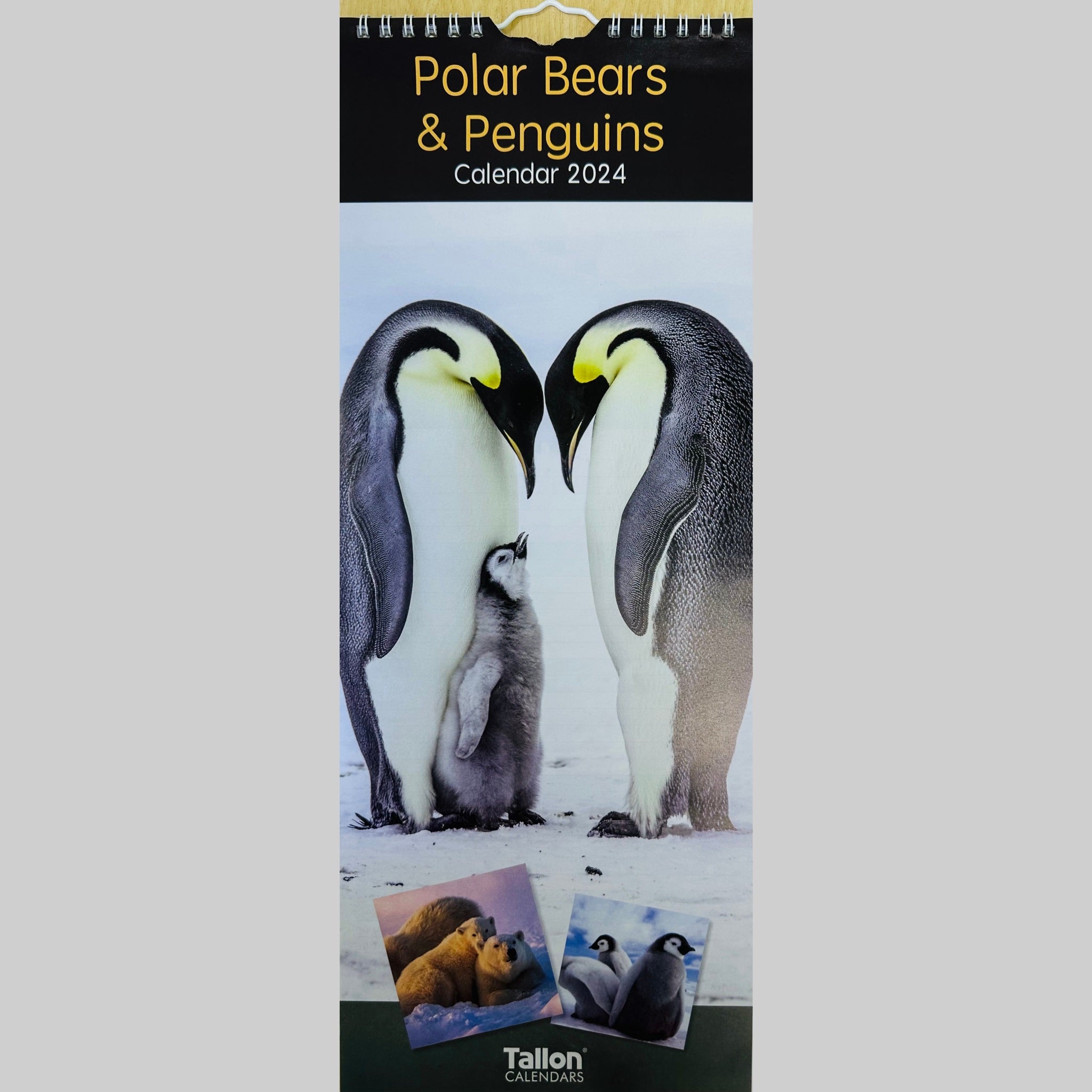 Beclen Harp Super Slim Month to View Spiral Bound Hanging Wall Calendar Home Office 2024 Dolphins and Whales/ Polar Bears and Penguins/ Endangered Animals/ Wildlife