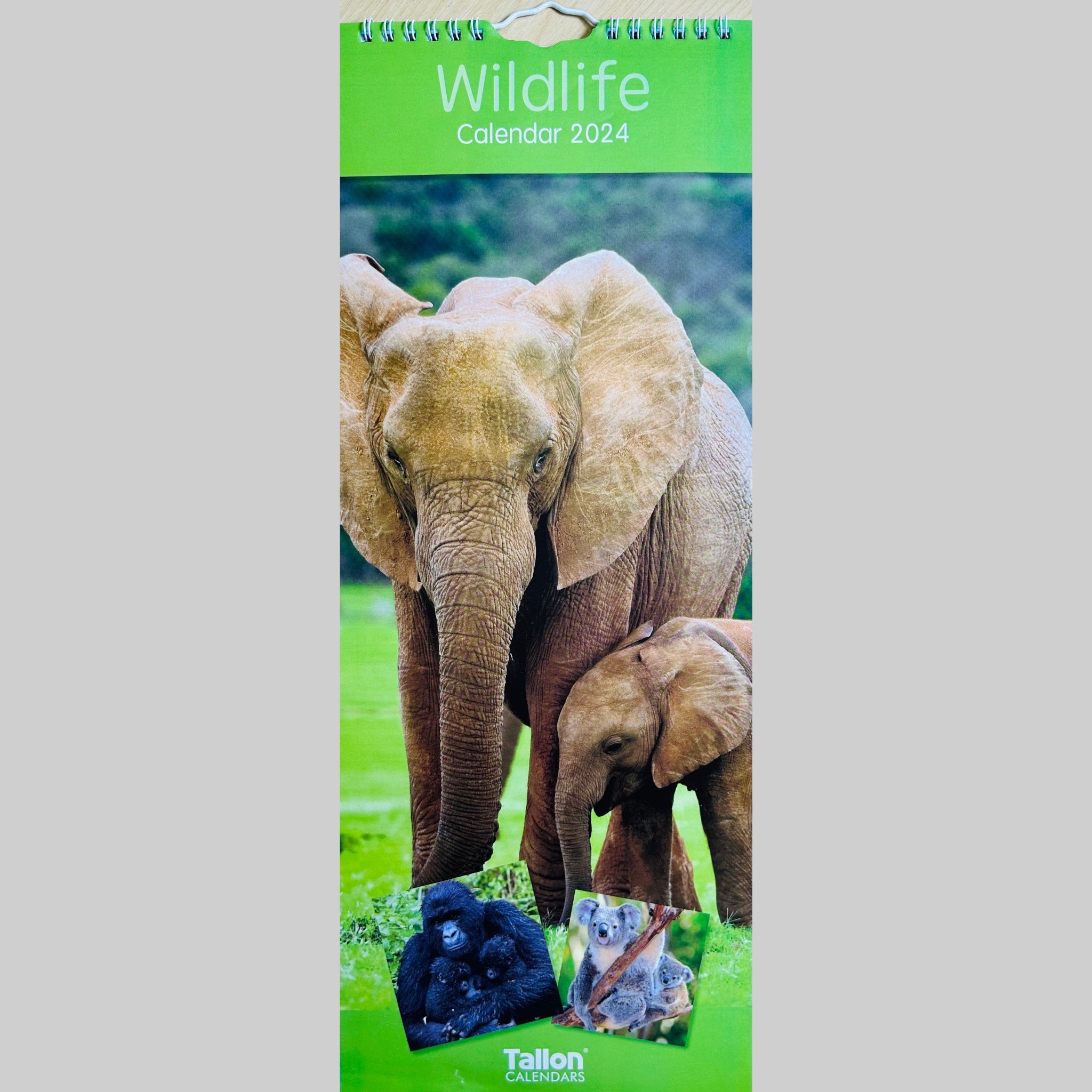 Beclen Harp Super Slim Month to View Spiral Bound Hanging Wall Calendar Home Office 2024 Dolphins and Whales/ Polar Bears and Penguins/ Endangered Animals/ Wildlife