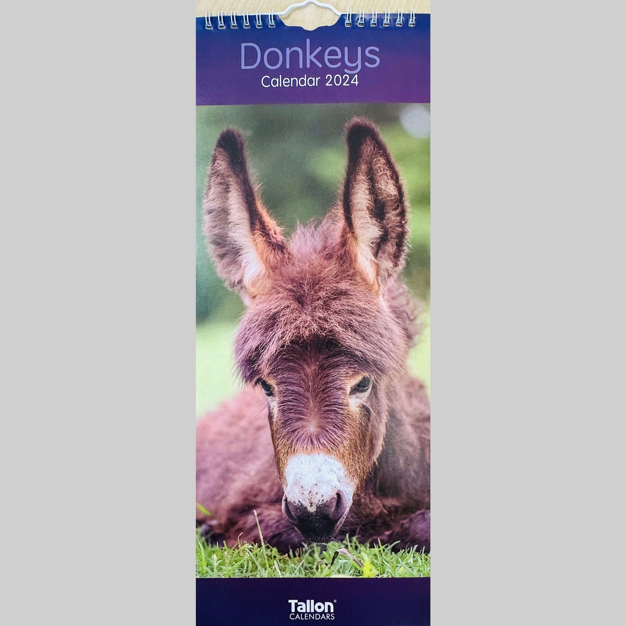 Beclen Harp MTV/ Super Slim Month to View Spiral Bound Hanging Wall Calendar Home Office 2024/ Long Calendar Planner Donkeys, Foals, Horses, Ponies