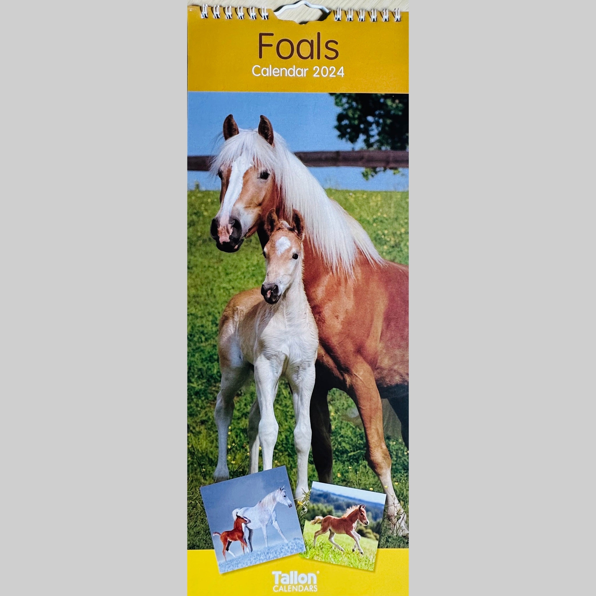 Beclen Harp MTV/ Super Slim Month to View Spiral Bound Hanging Wall Calendar Home Office 2024/ Long Calendar Planner Donkeys, Foals, Horses, Ponies