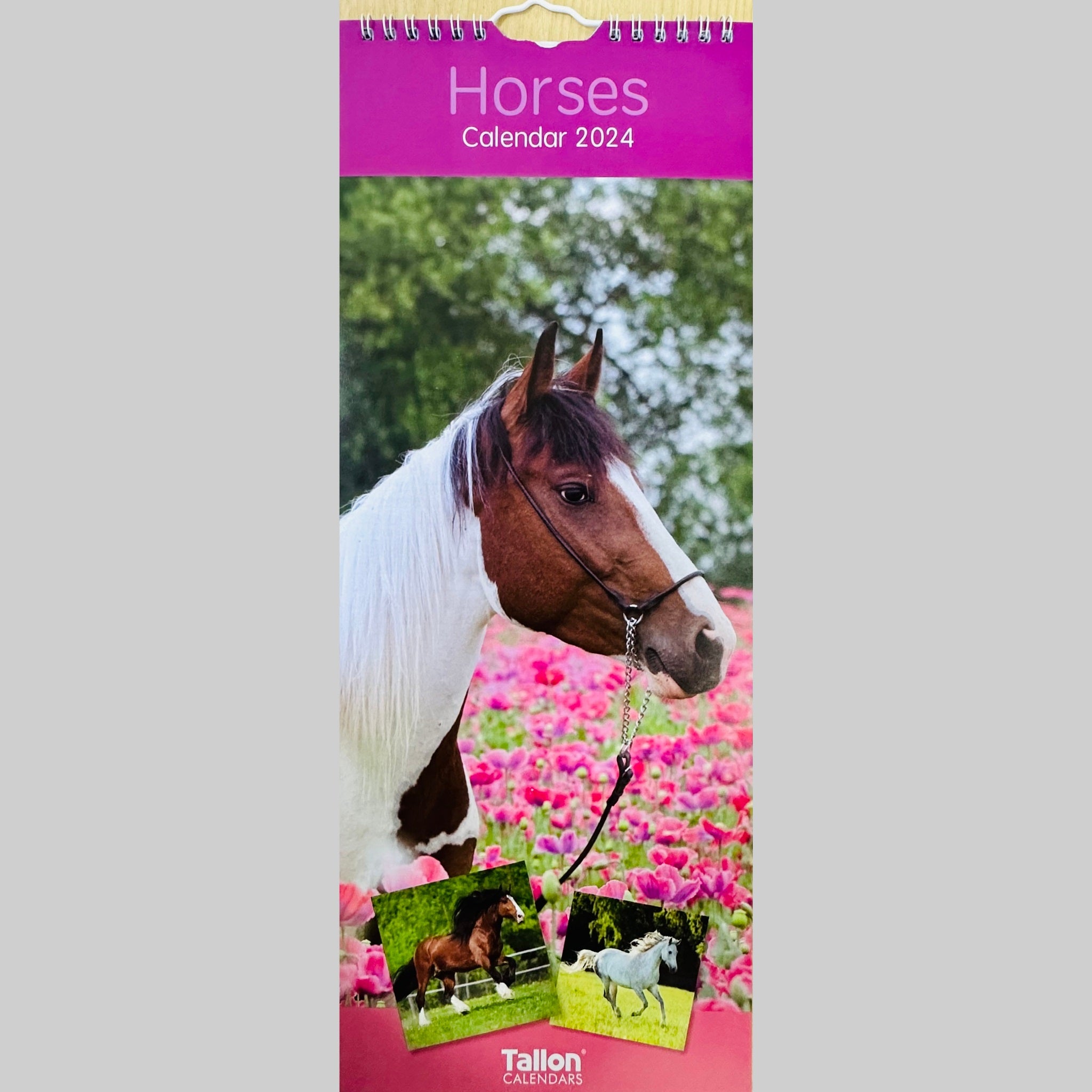 Beclen Harp MTV/ Super Slim Month to View Spiral Bound Hanging Wall Calendar Home Office 2024/ Long Calendar Planner Donkeys, Foals, Horses, Ponies