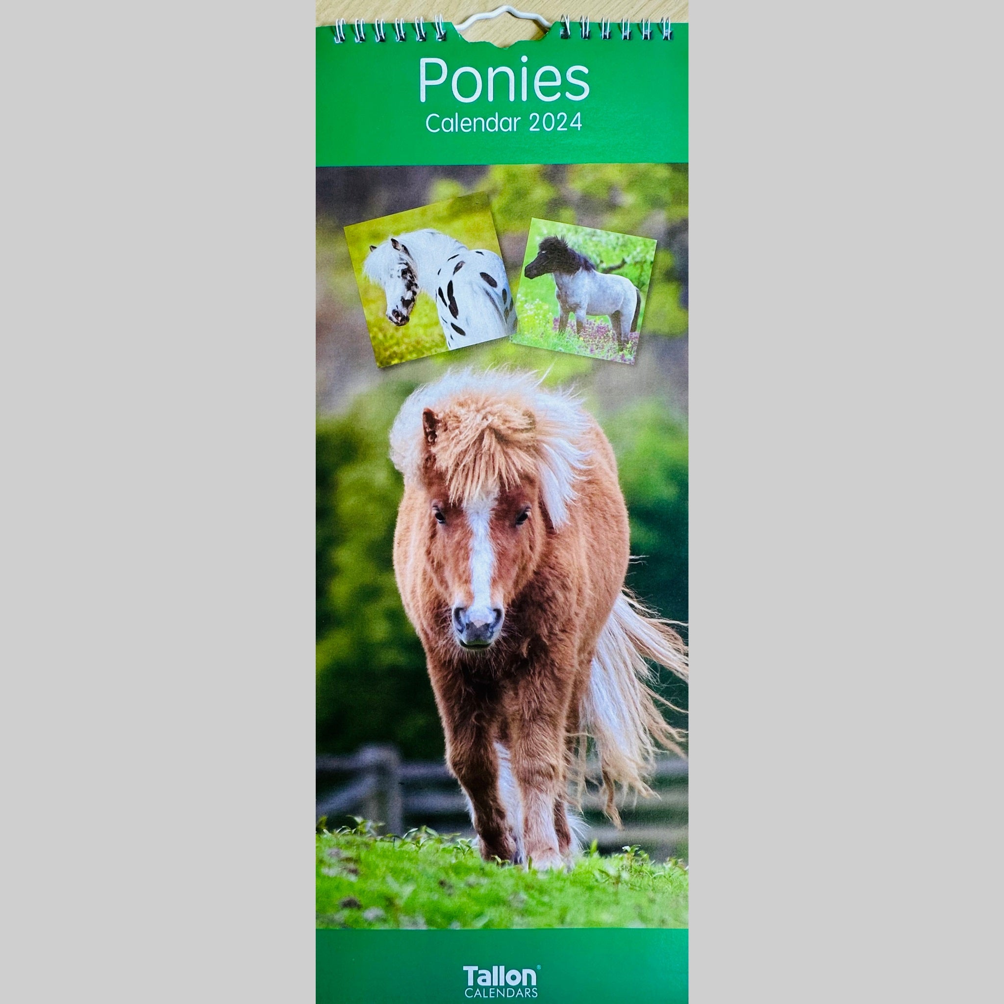 Beclen Harp MTV/ Super Slim Month to View Spiral Bound Hanging Wall Calendar Home Office 2024/ Long Calendar Planner Donkeys, Foals, Horses, Ponies