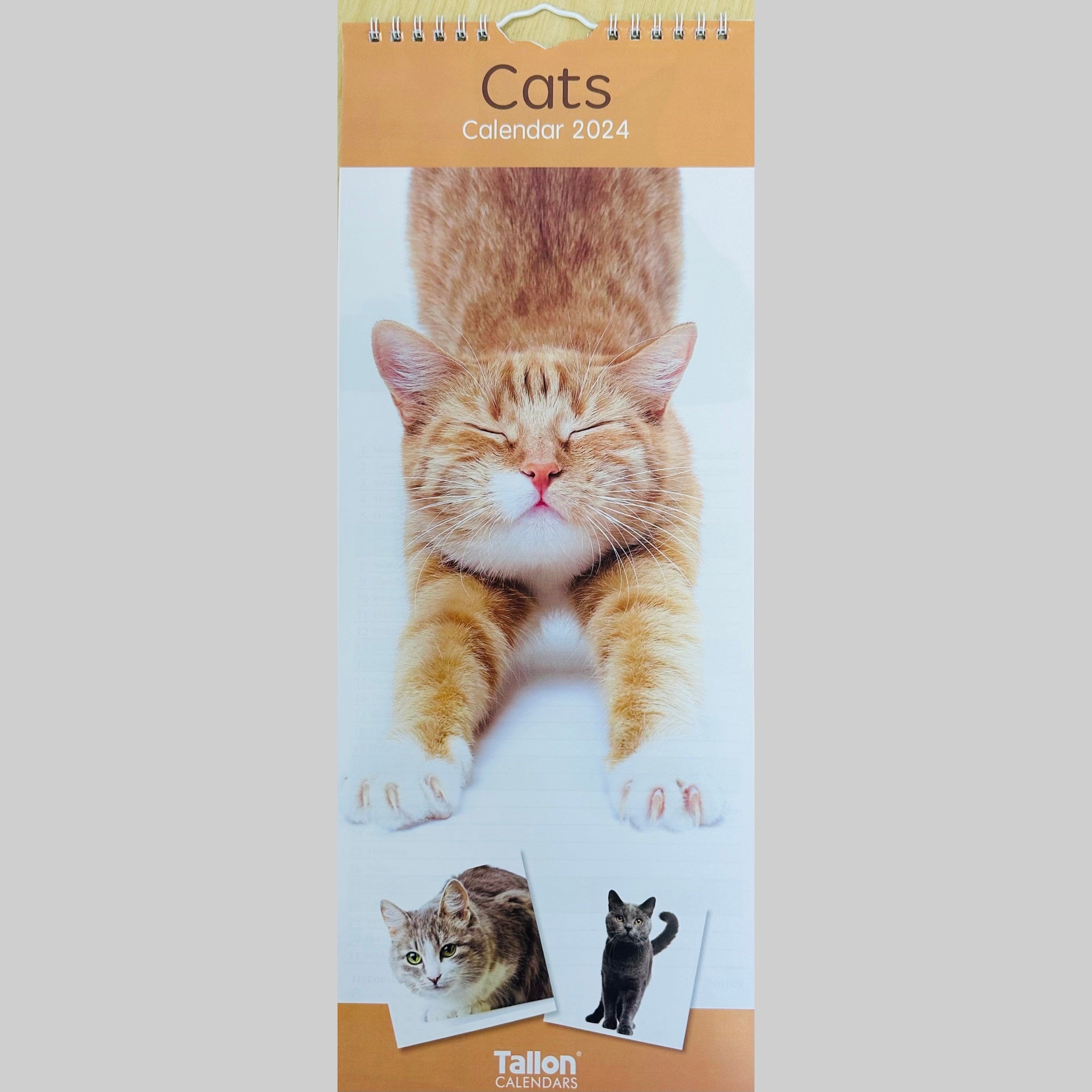 Beclen Harp Super Slim Month to View Spiral Bound Hanging Wall Calendar Home Office 2024 Cats and Kittens