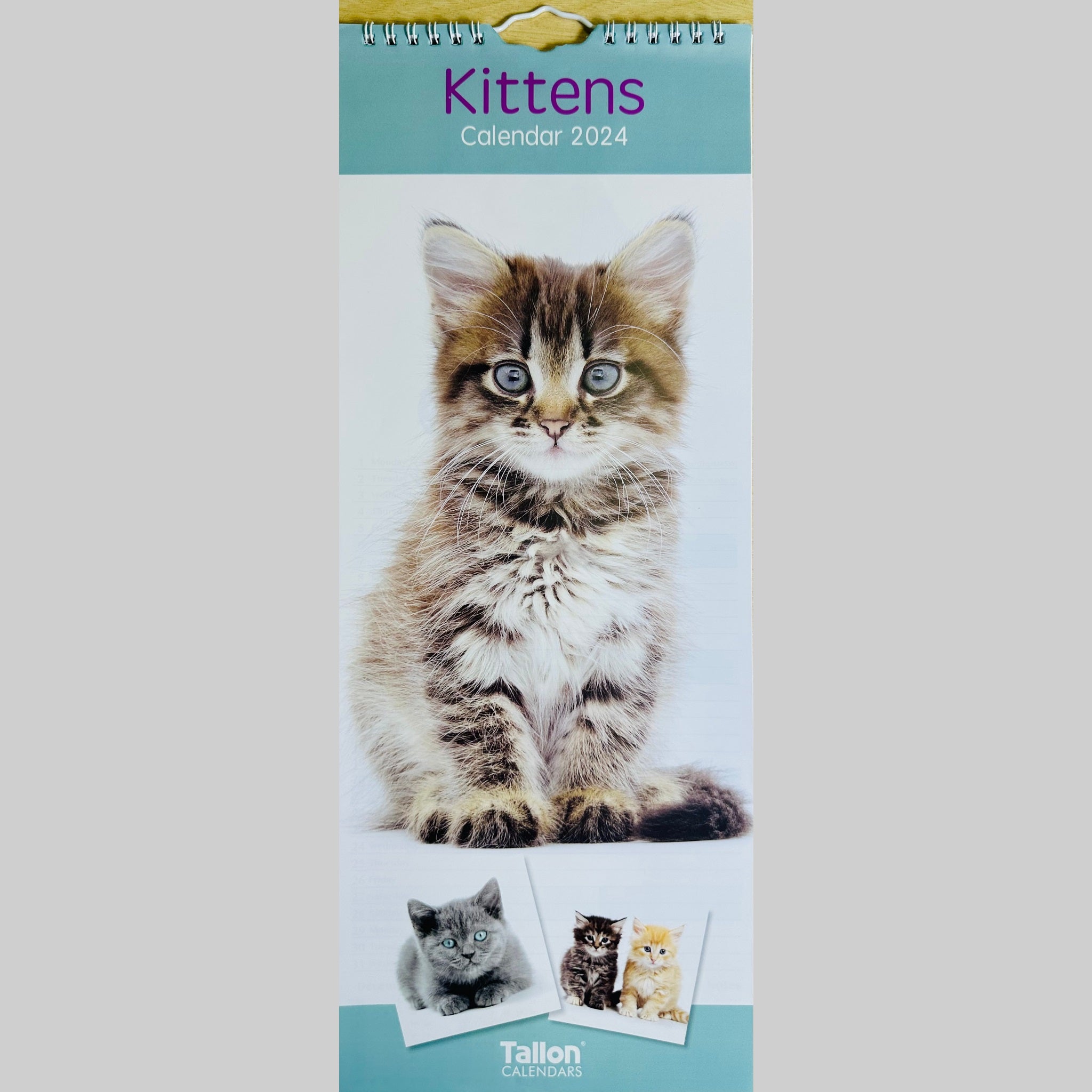 Beclen Harp Super Slim Month to View Spiral Bound Hanging Wall Calendar Home Office 2024 Cats and Kittens