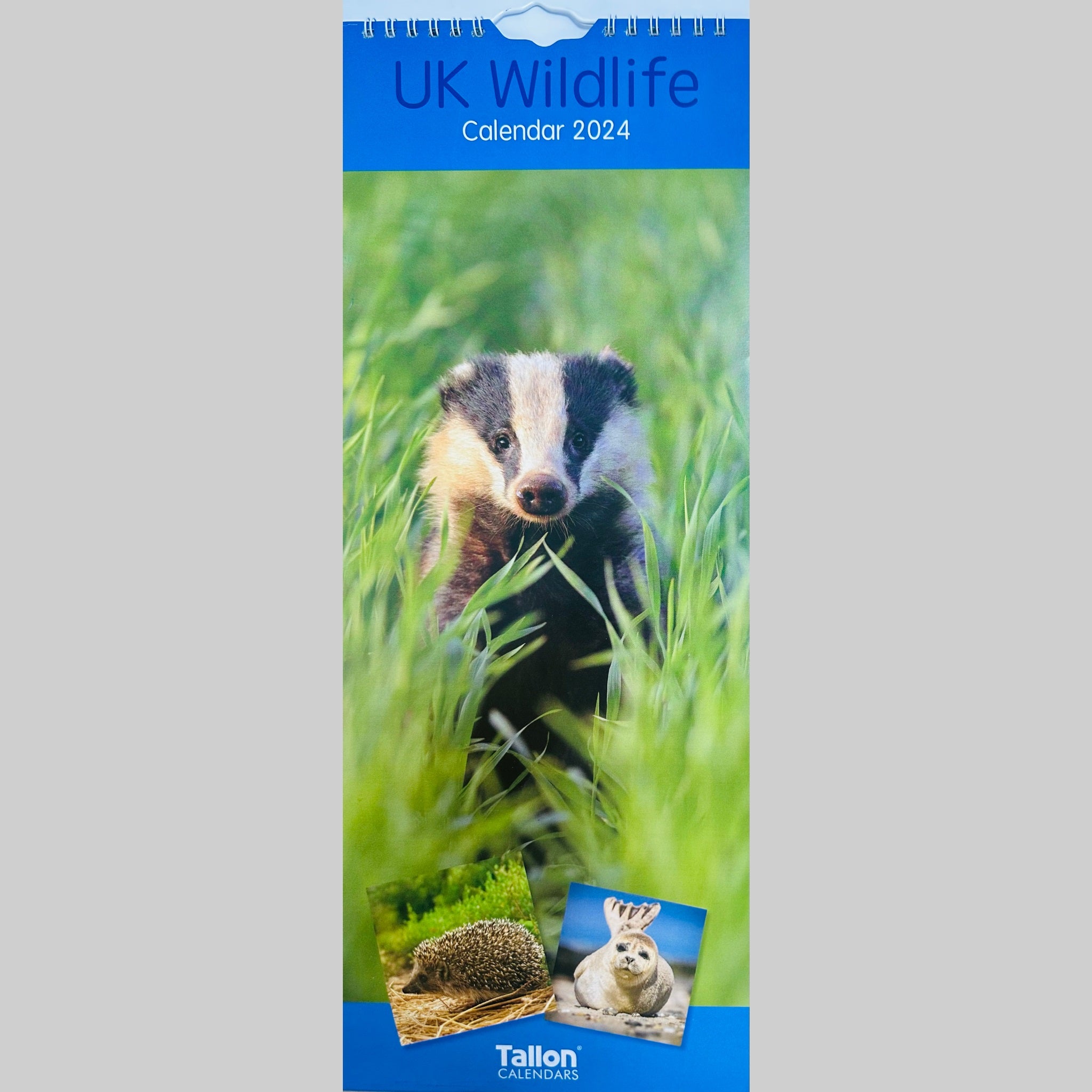 Beclen Harp Super Slim Month to View Spiral Bound Hanging Wall Calendar Home Office 2024 UK Wildlife and UK Birds