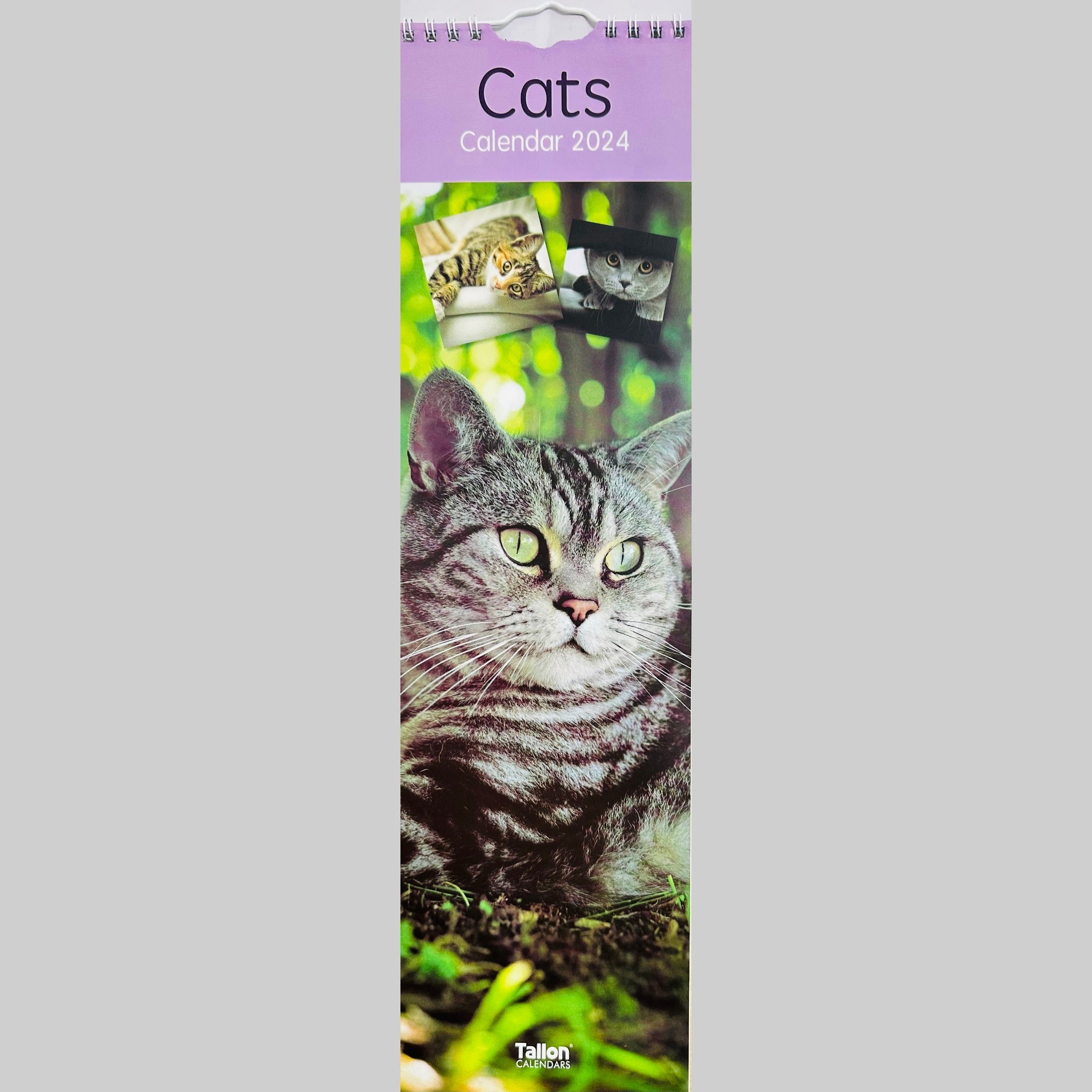 Beclen Harp Super Slim Month to View Spiral Bound Hanging Wall Calendar Home Office 2024 Dogs, Puppies, Kittens, Cats, Wildlife, Flowers, Scenes, Gardens