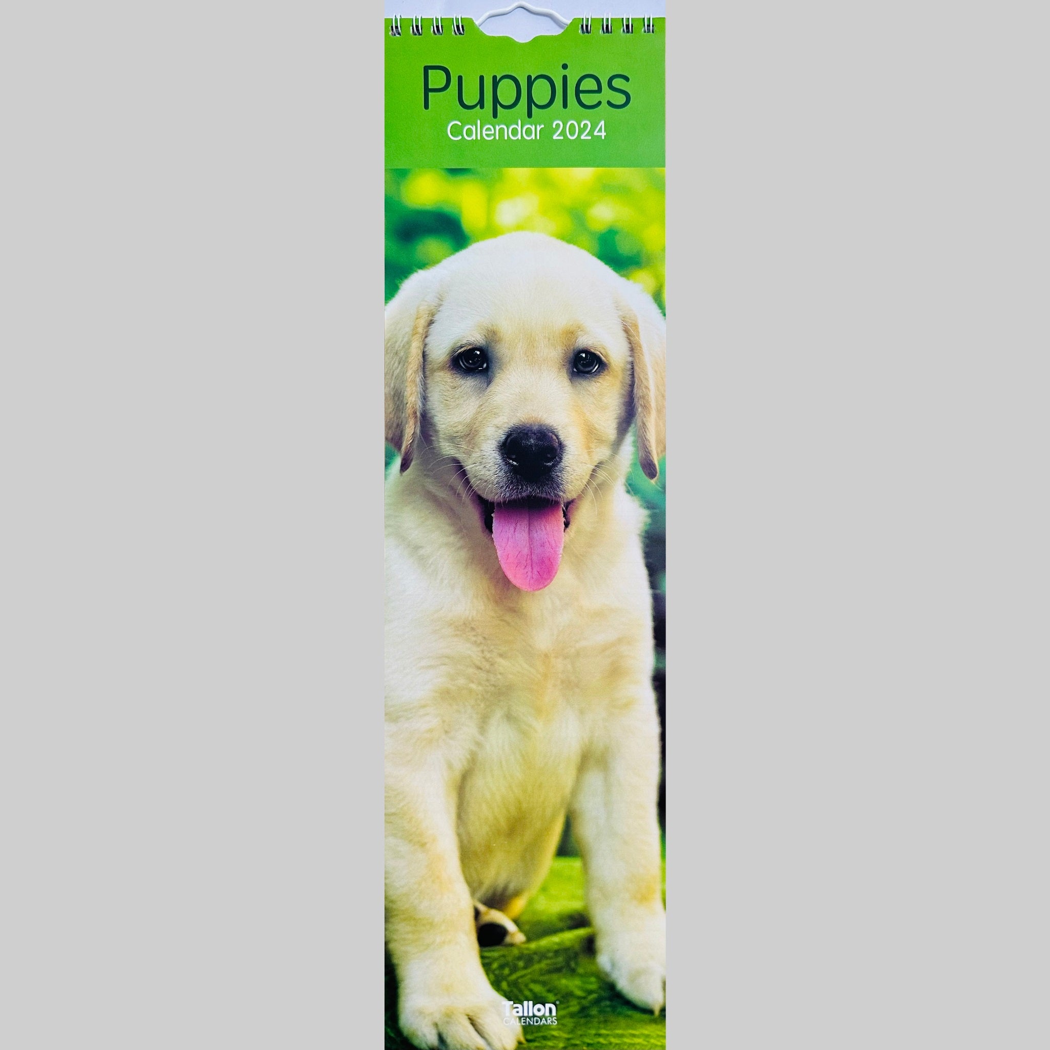 Beclen Harp Super Slim Month to View Spiral Bound Hanging Wall Calendar Home Office 2024 Dogs, Puppies, Kittens, Cats, Wildlife, Flowers, Scenes, Gardens
