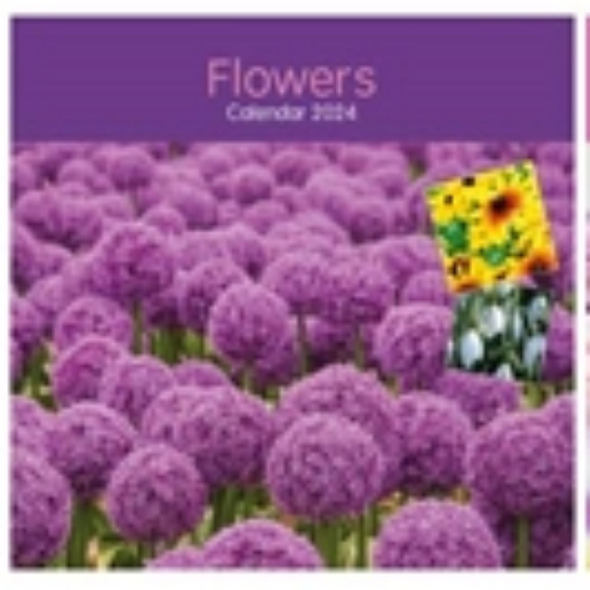 Beclen Harp 2024 Month to View Flip Over Desk Top Calendar/ Square Wall Hanging Home Office Work Top Planner Flowers Bouquets Gardens