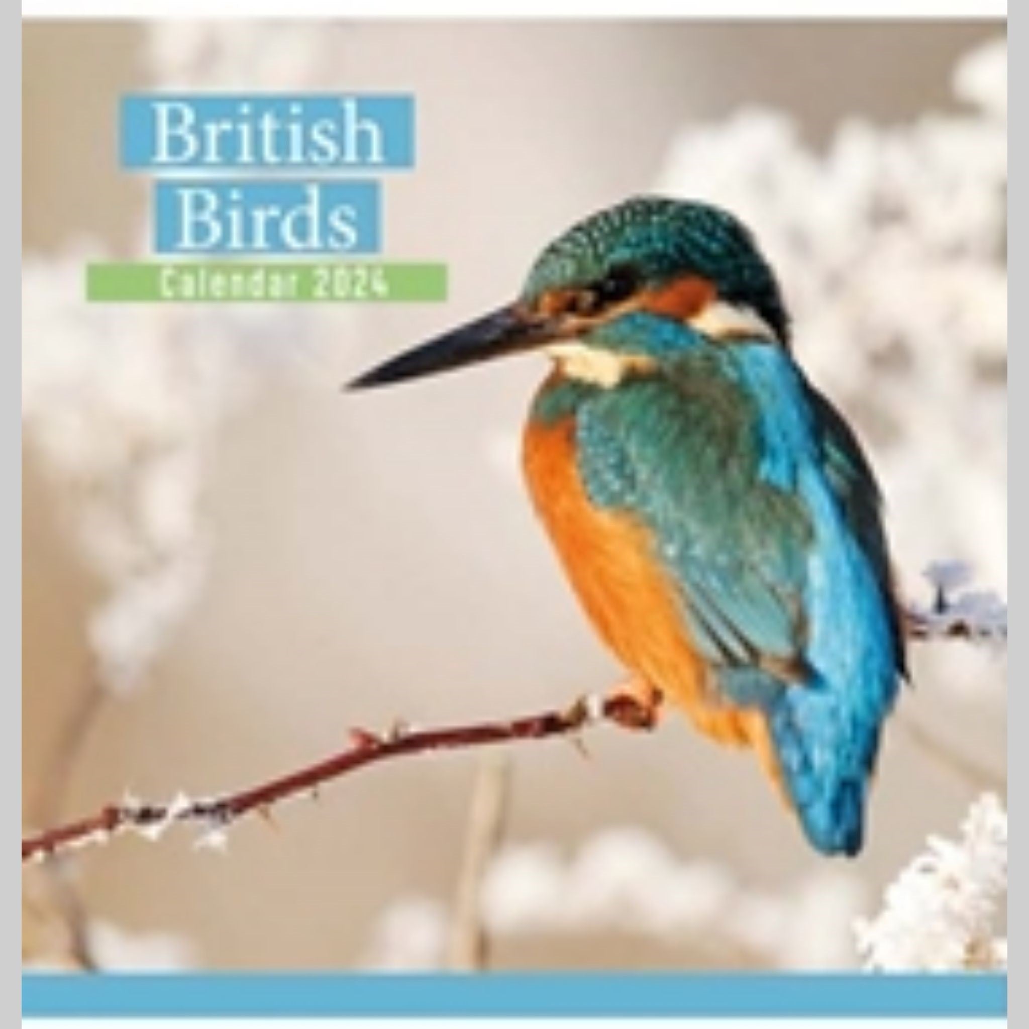 Beclen Harp 2024 Large Month to View Flip Over Desk Top Calendar/ Square Wall Hanging Home Office Work Top Planner British Birds Wildlife