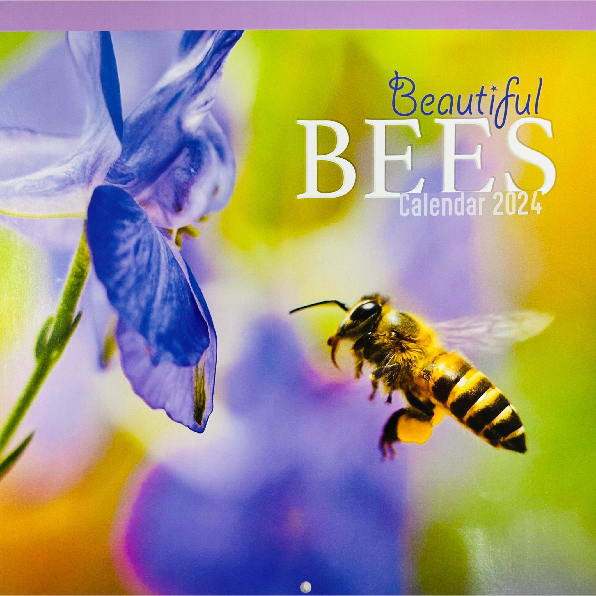 Beclen Harp 2024 One Month To View Photographic Wall Hanging Home Office Calendar Planner With Postal Envelope Butterflies Bees