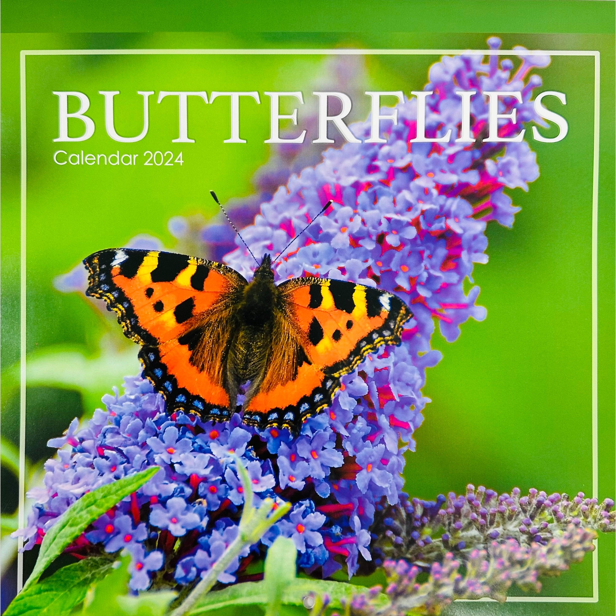 Beclen Harp 2024 One Month To View Photographic Wall Hanging Home Office Calendar Planner With Postal Envelope Butterflies Bees