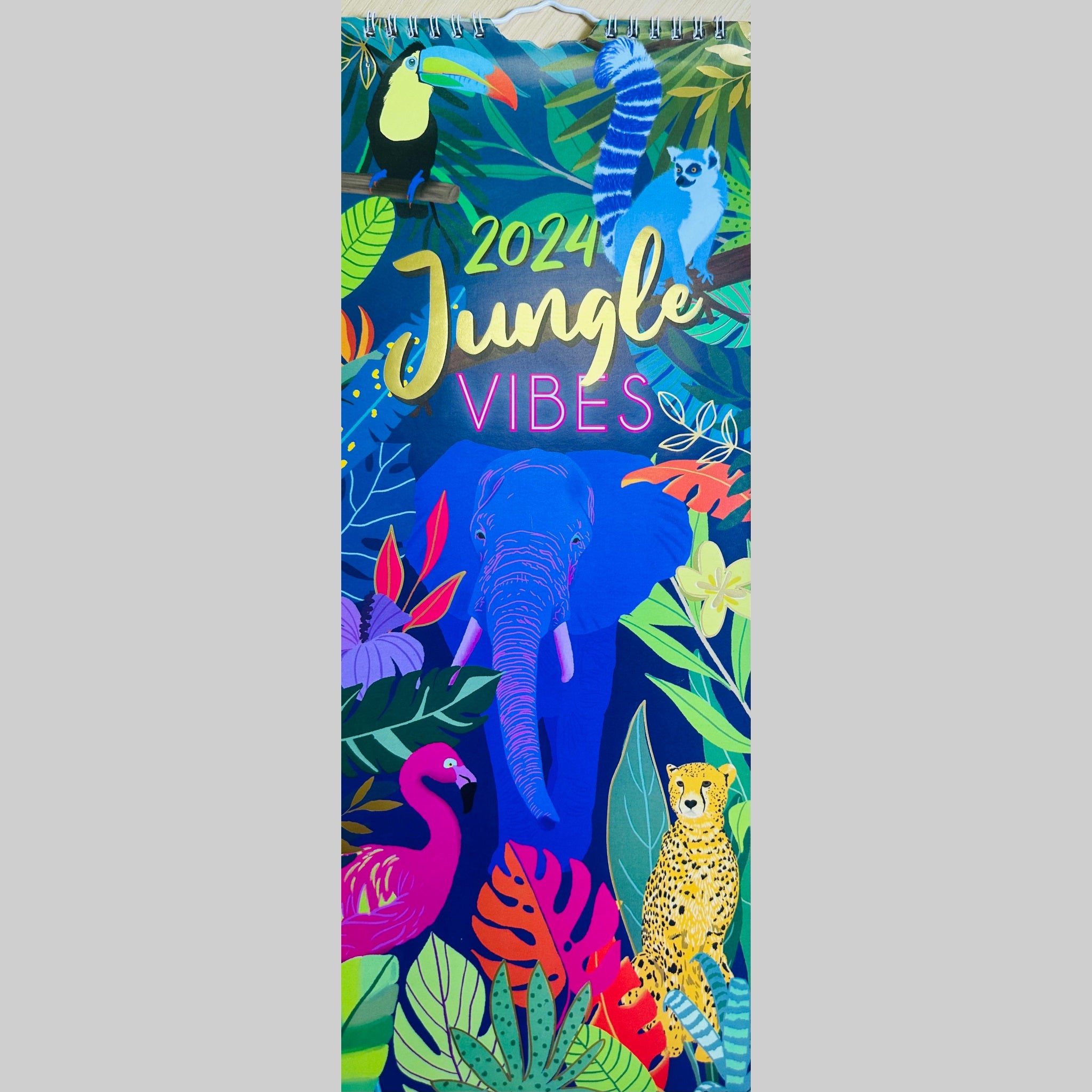 Beclen Harp Super Slim Month to View Spiral Bound Hanging Wall Calendar Home Office 2024 Enjoy The Little Things, You've Got This, Teddies, Jungle Vibes
