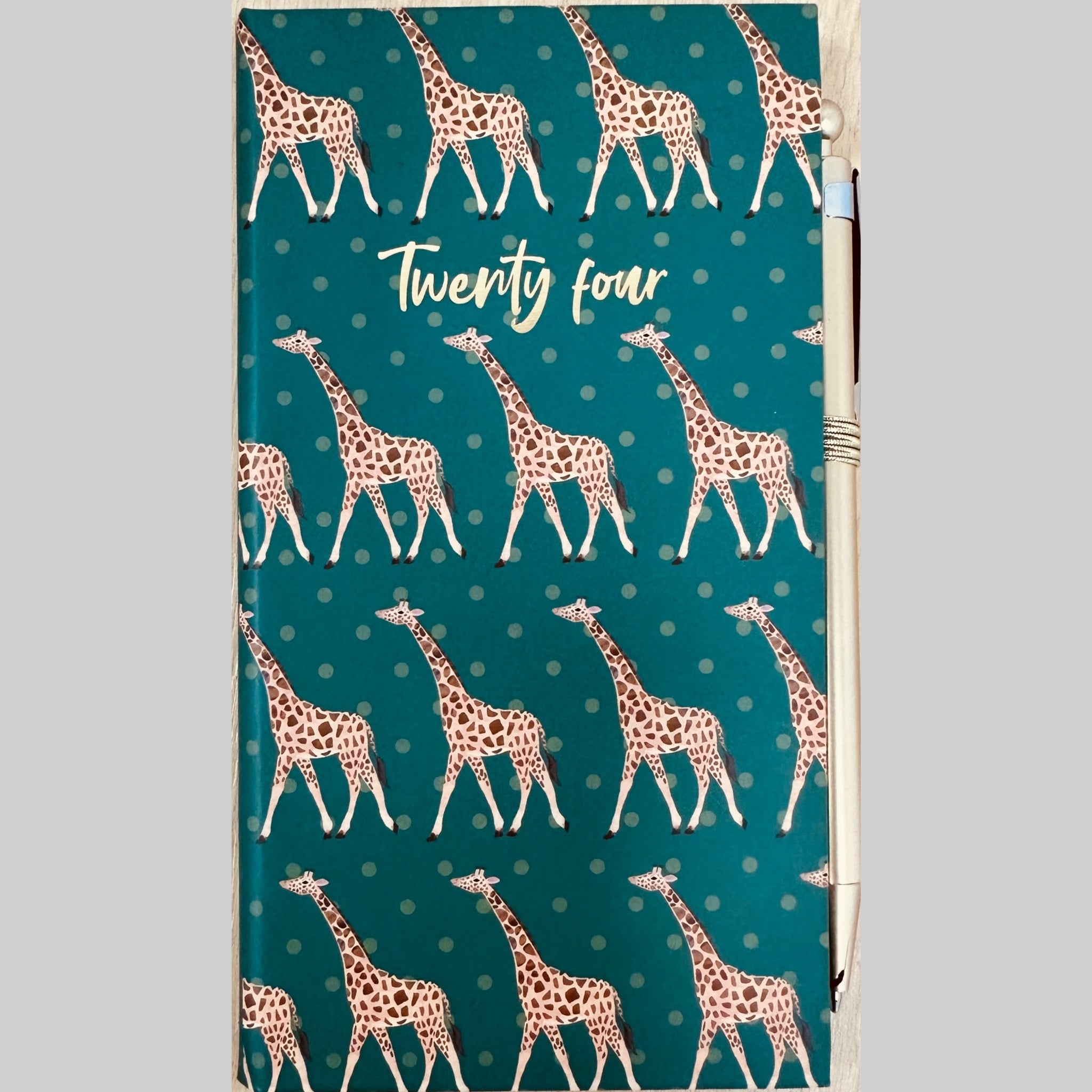 Beclen Harp 2024 Slim Size Hardback Planner Organiser Diary Week To View/ WTV Easy To Go Full Year Diary